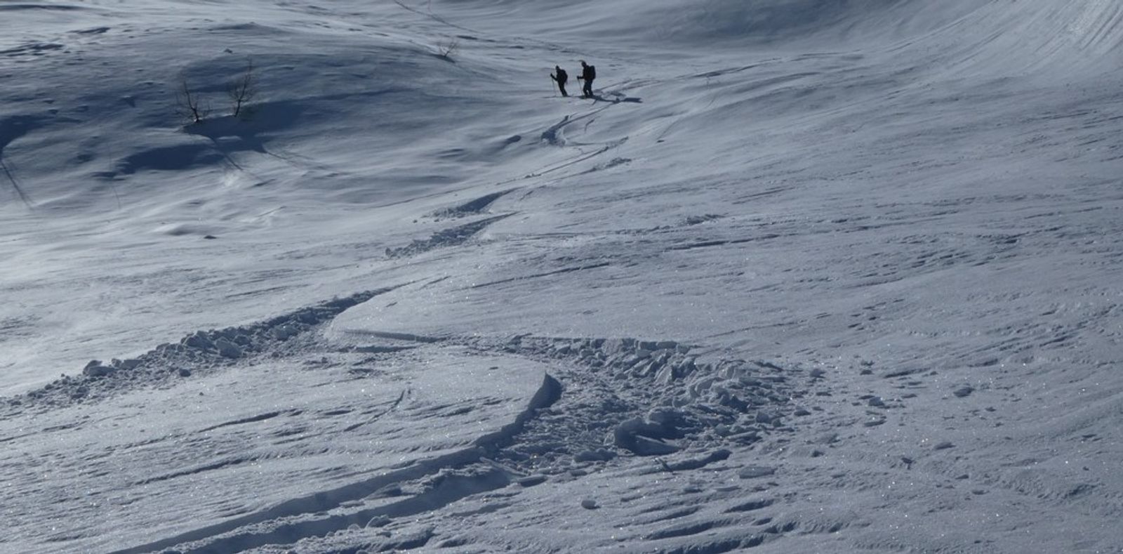 La Blanche - Freerando Pelvoux - Trails