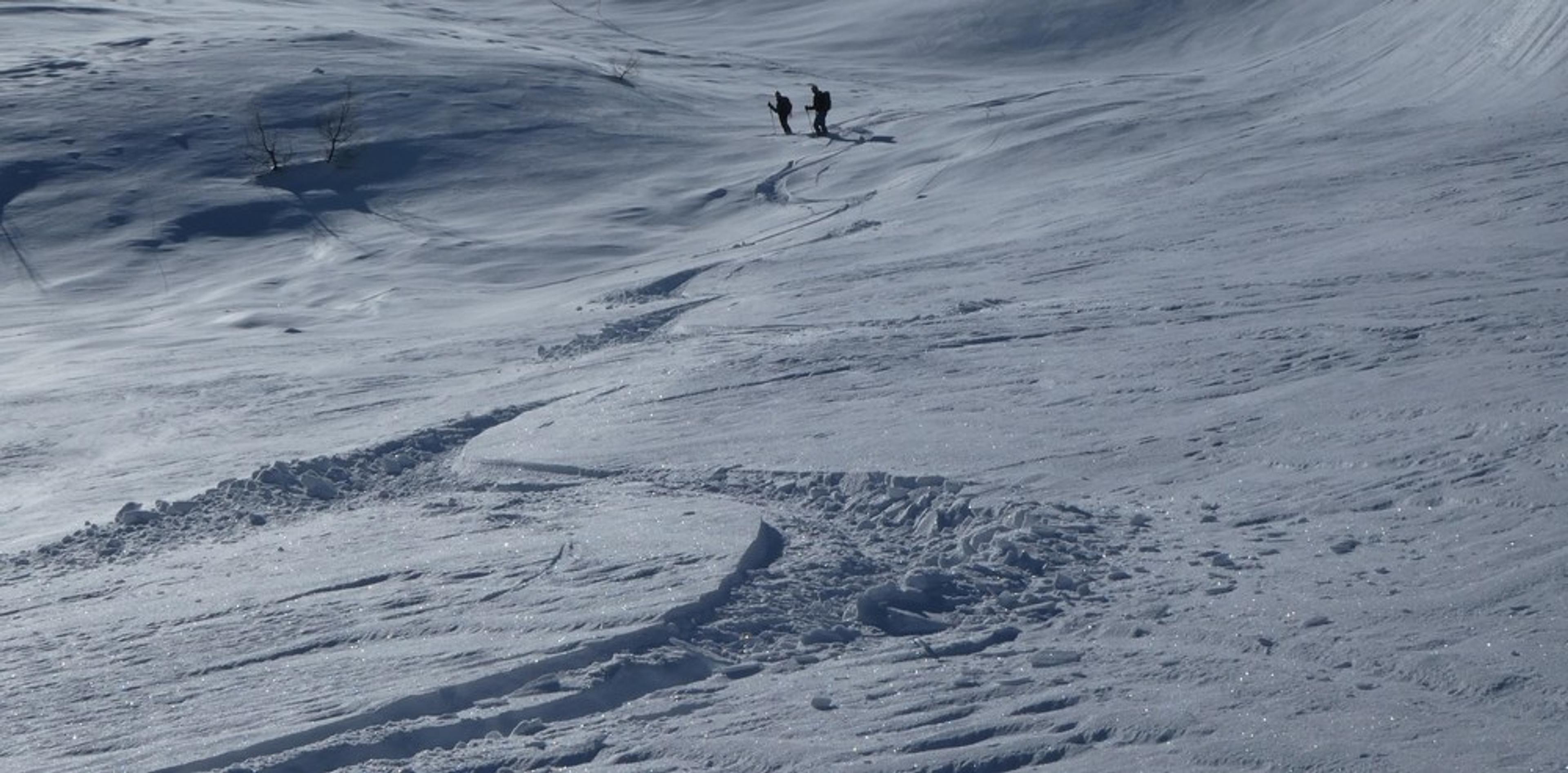 La Blanche - Freerando Pelvoux - Traces
