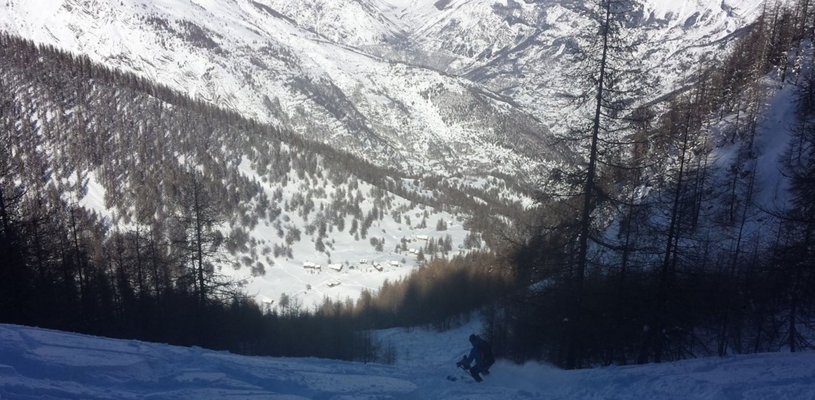 Pente enneigée descendant entre les mélèzes vers le vallon de Narreyroux.