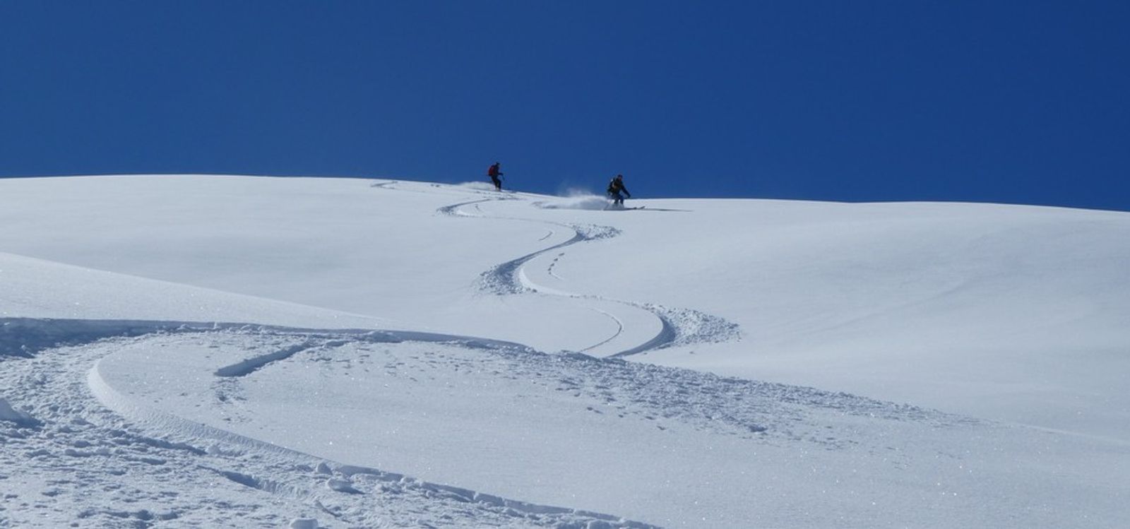 La Blanche - Freerando Pelvoux - Insane
