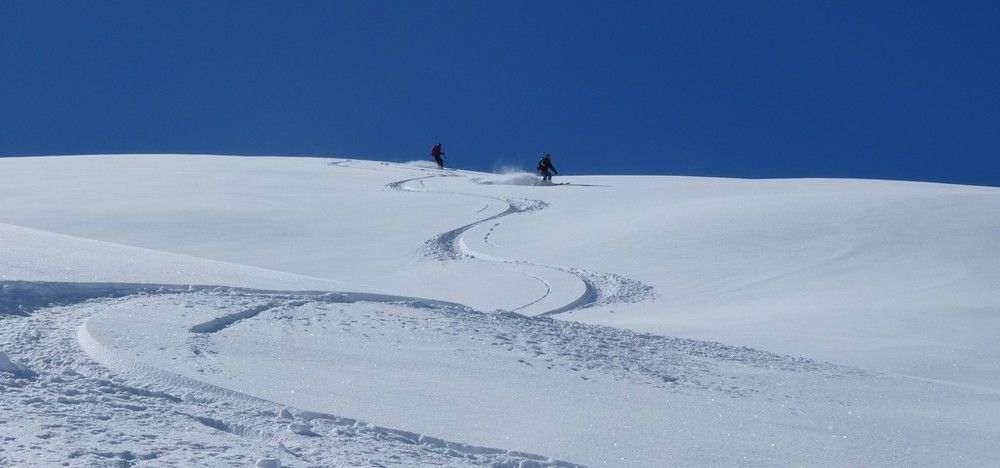 Un p'tite dose de Blanche