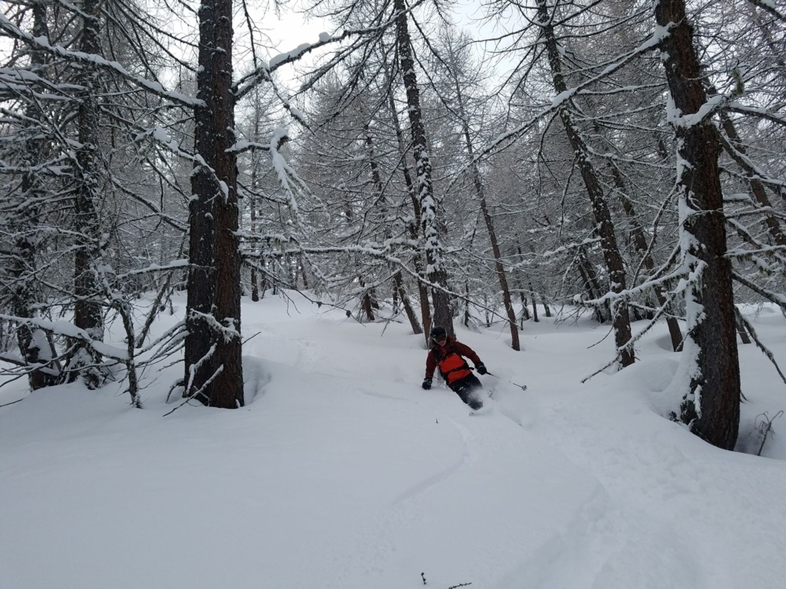 Ski Popow à la maison — photo 4