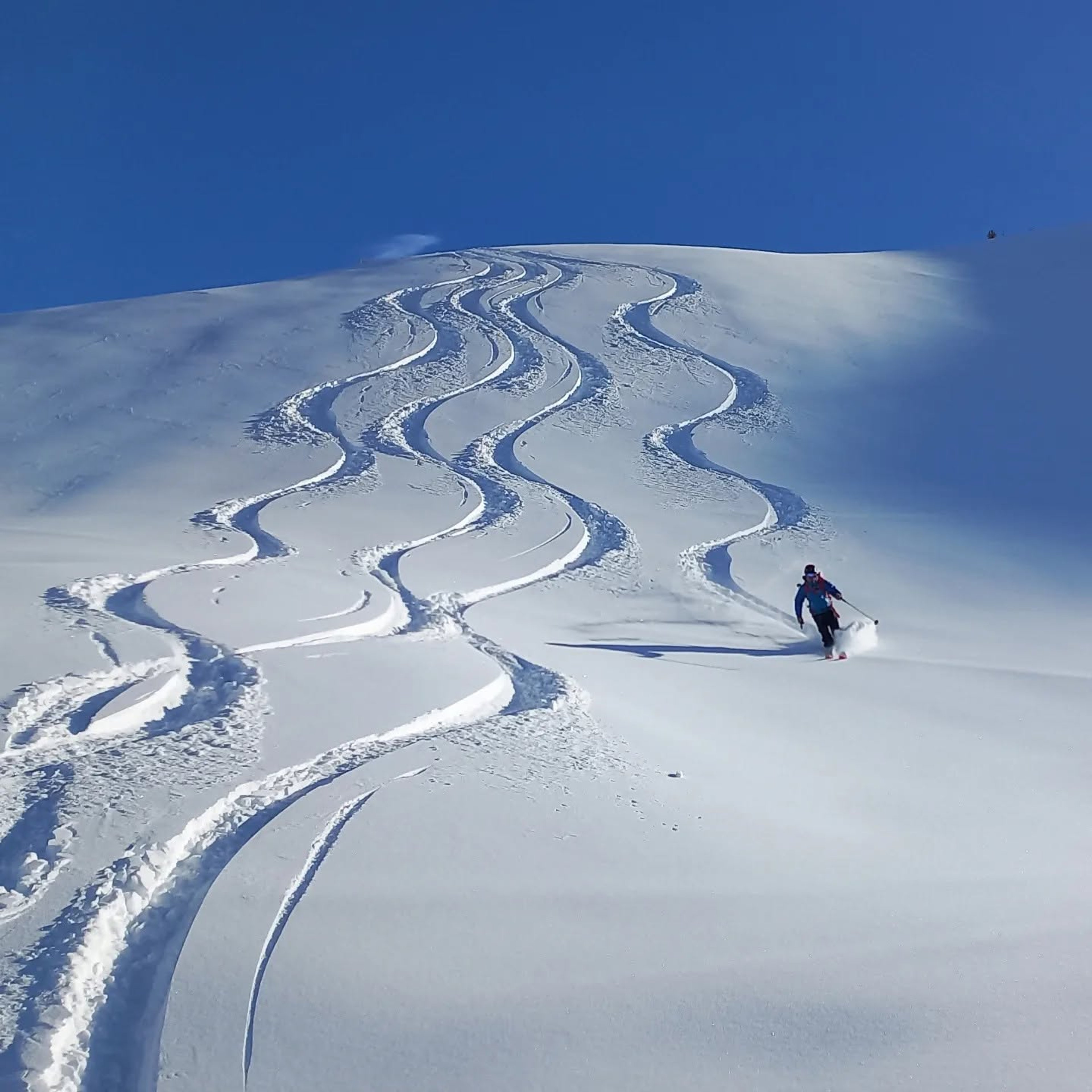 Journée Freerando Crévoux