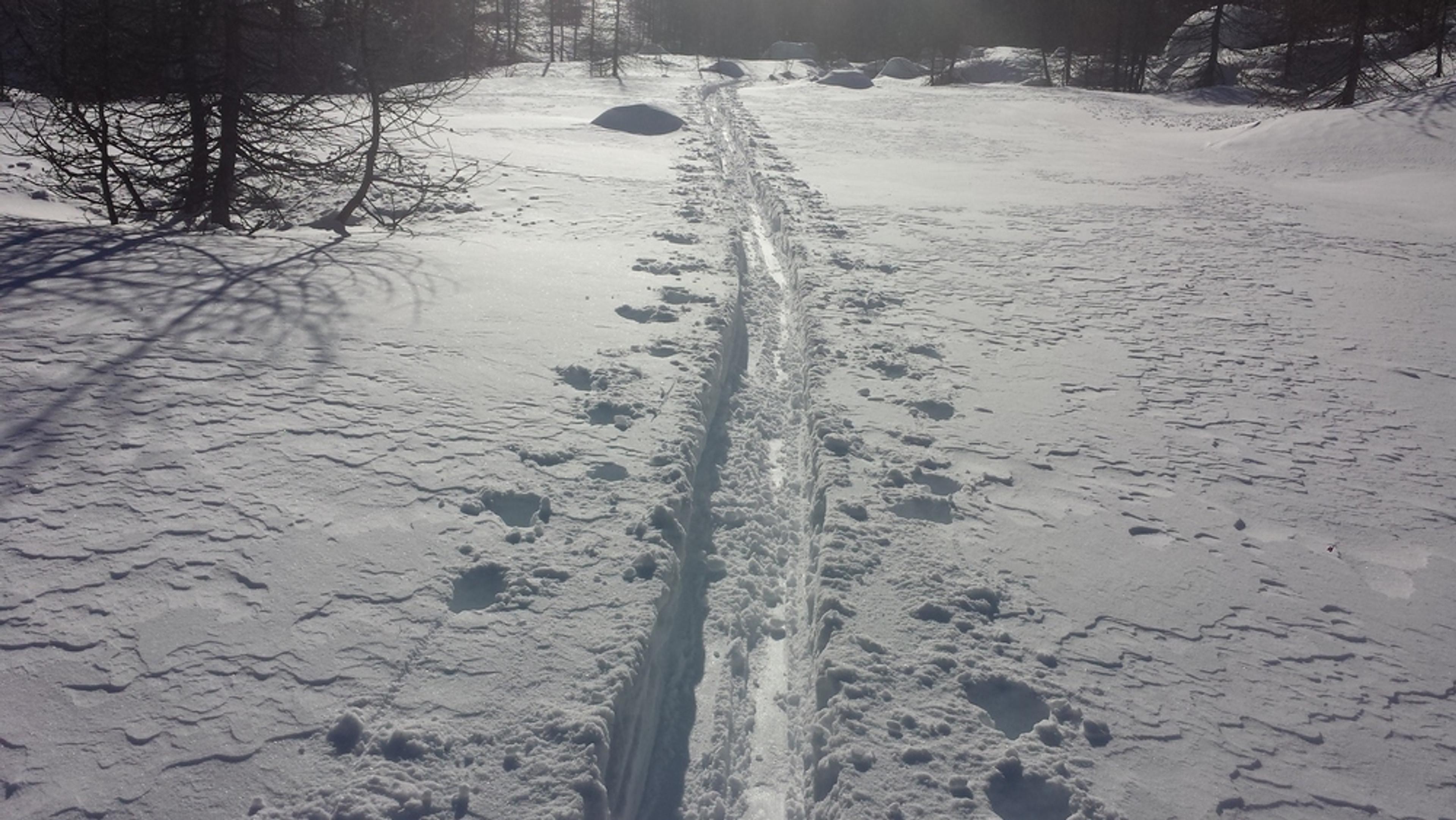 Hors-piste Puy-St-Vincent - Descente sur Narreyroux le deuxième jour