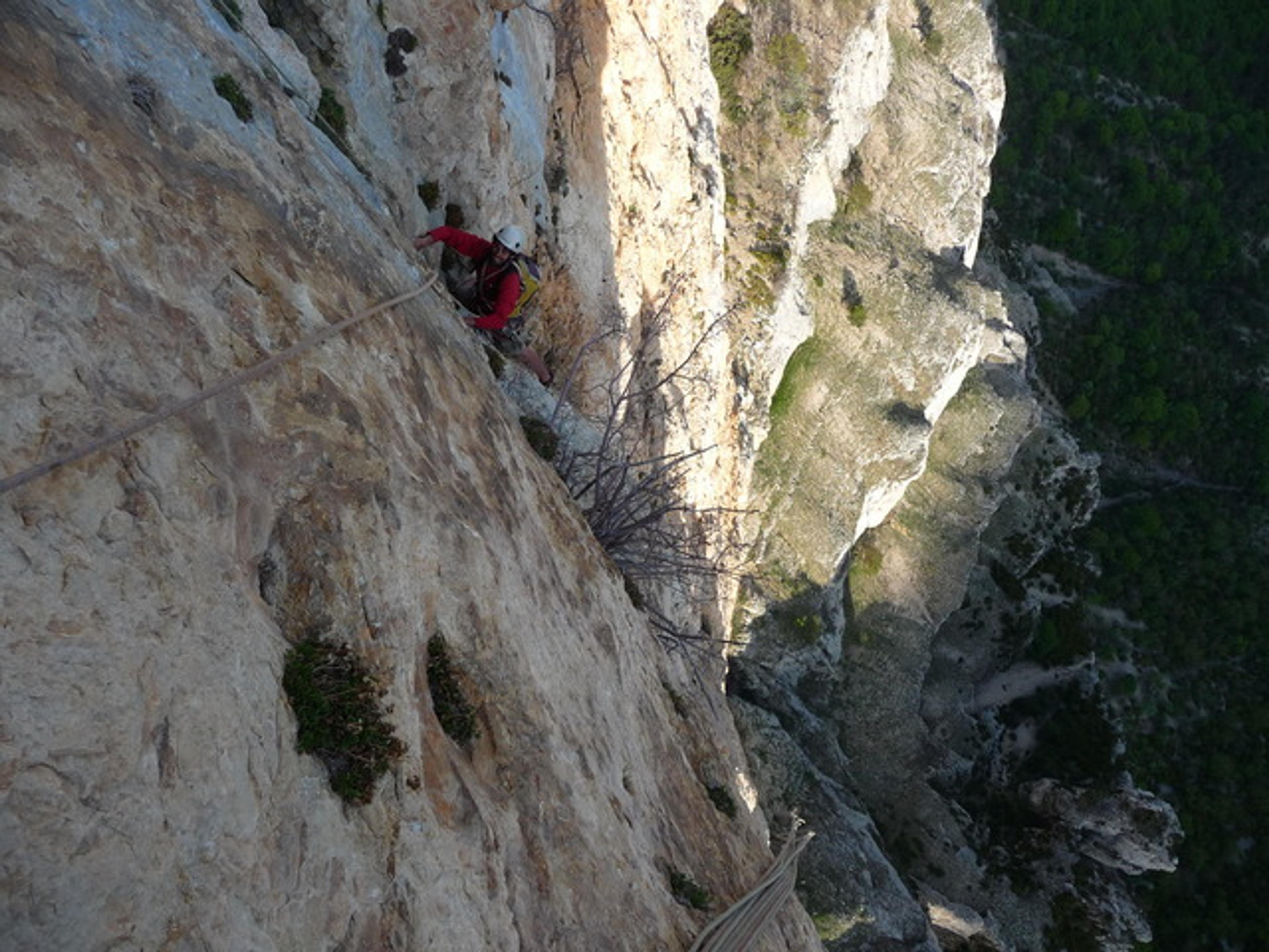 Dans le haut