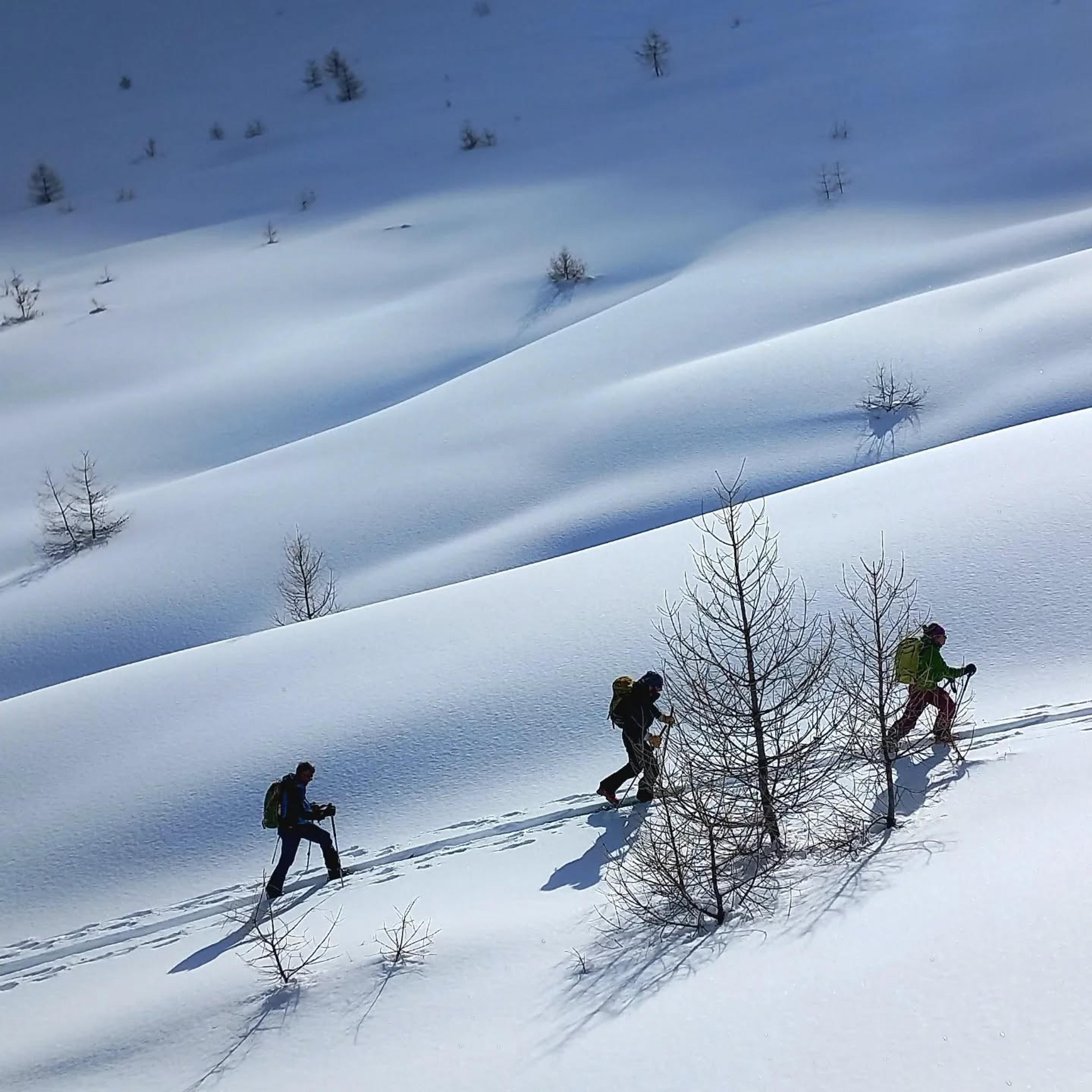 Freeride Touring Day – Crévoux
