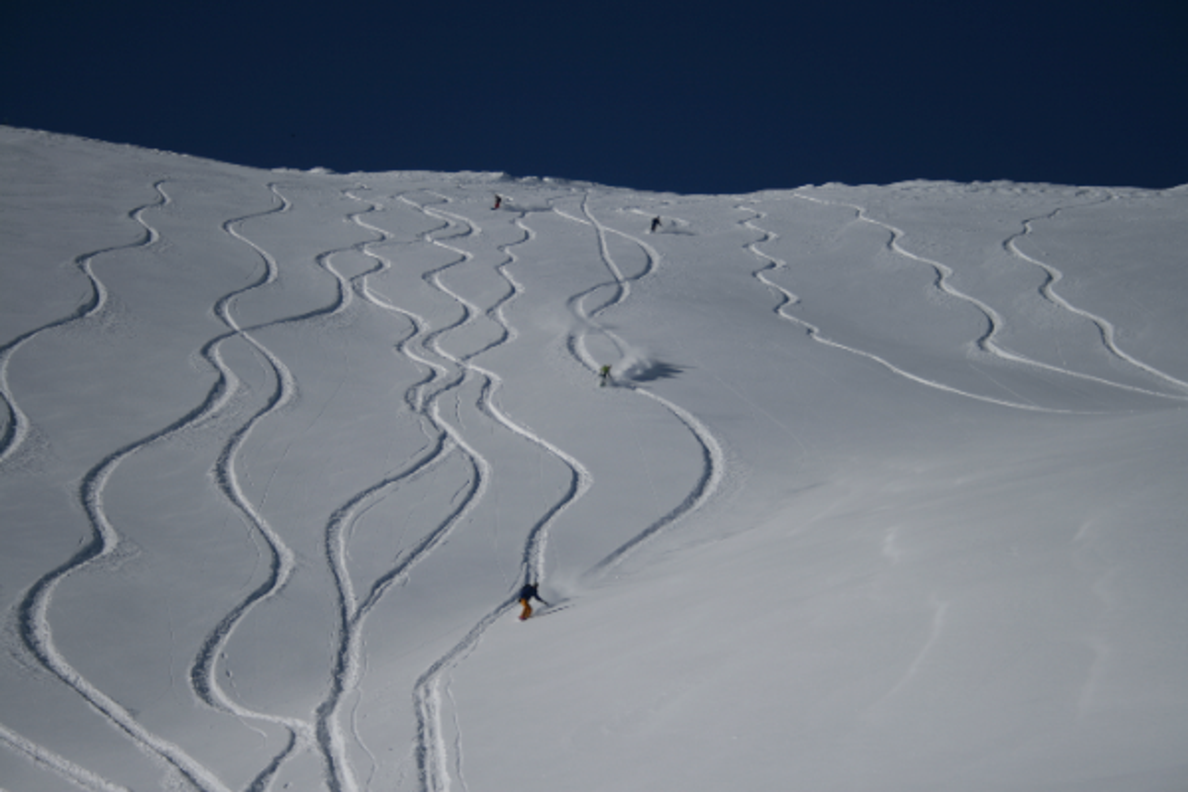 Image galerie