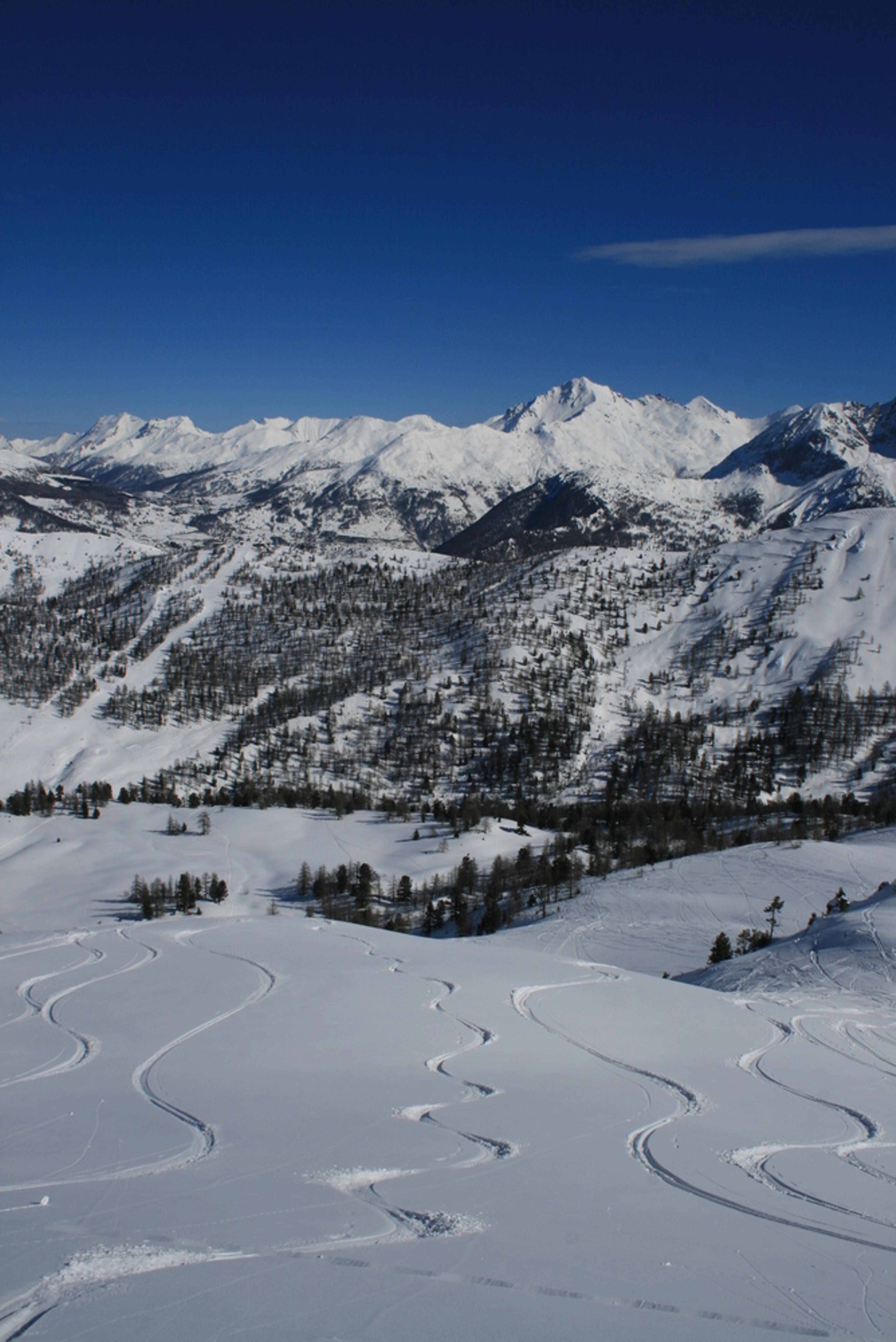 Hors-piste-Montgenèvre - C'est boww