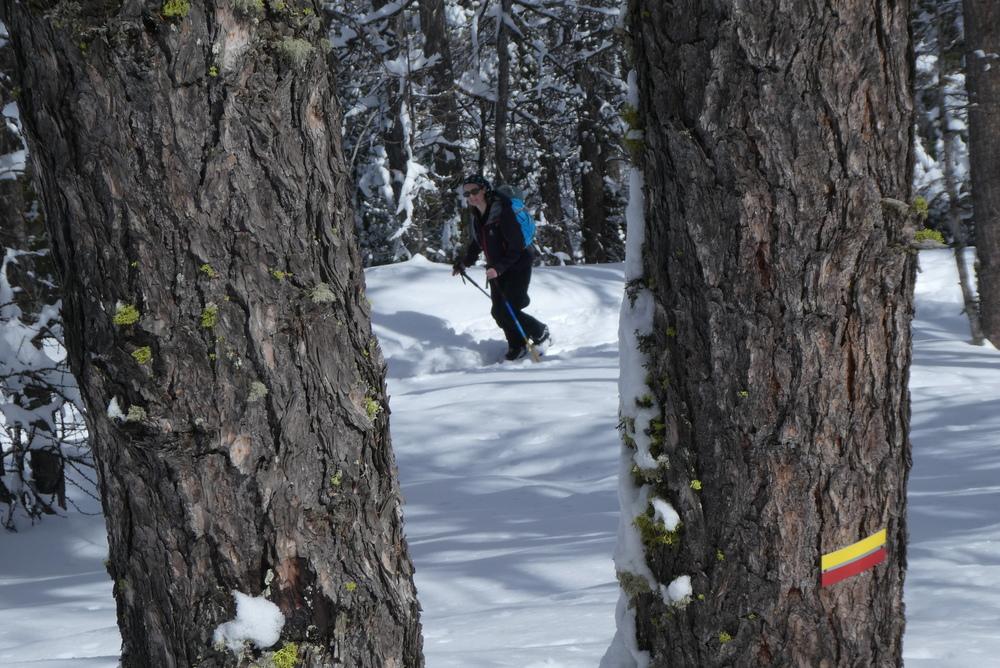 Week-end ski rando - Fouillouse - Entre les arbres