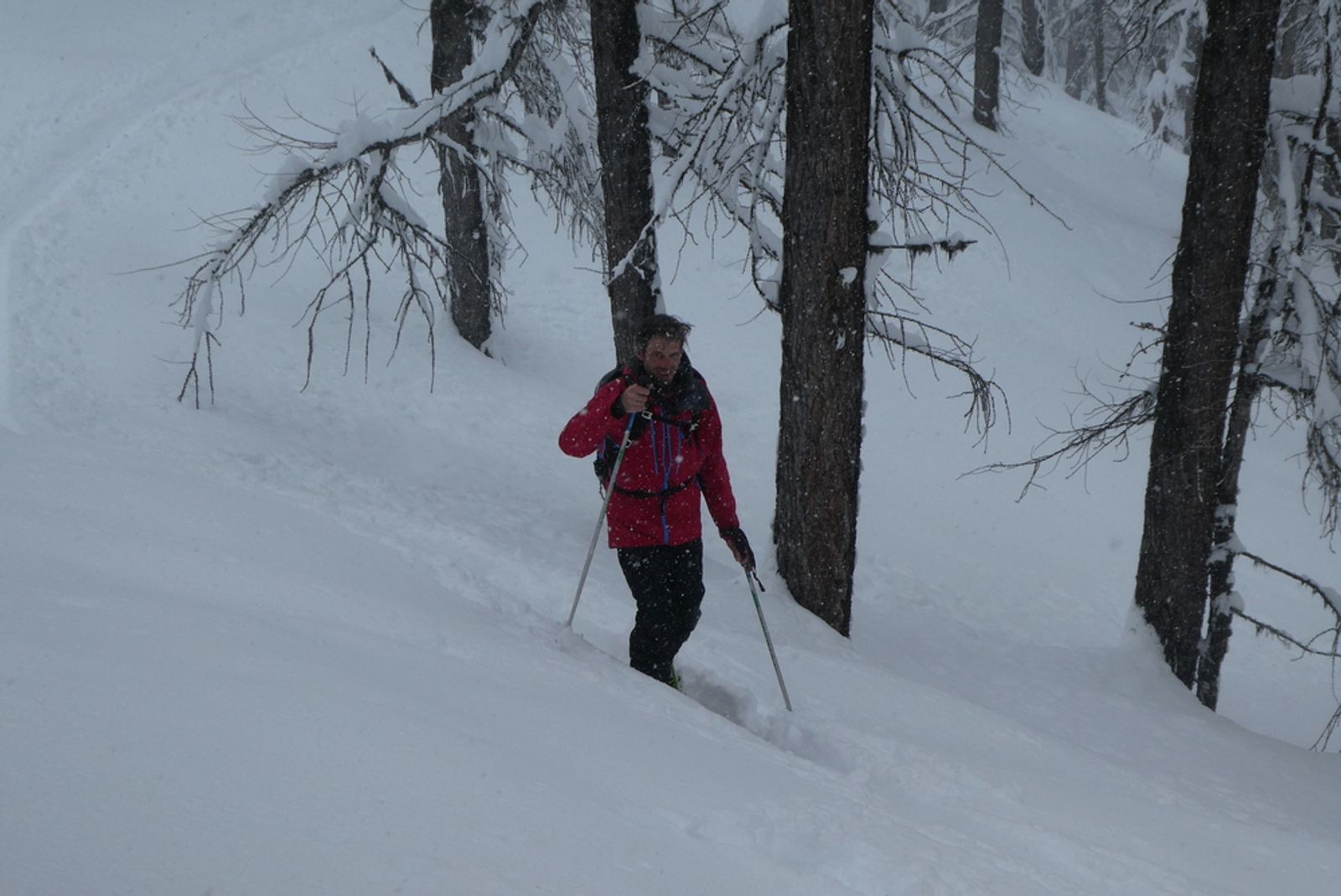 Skieur rouge à la montée dans les mélèzes