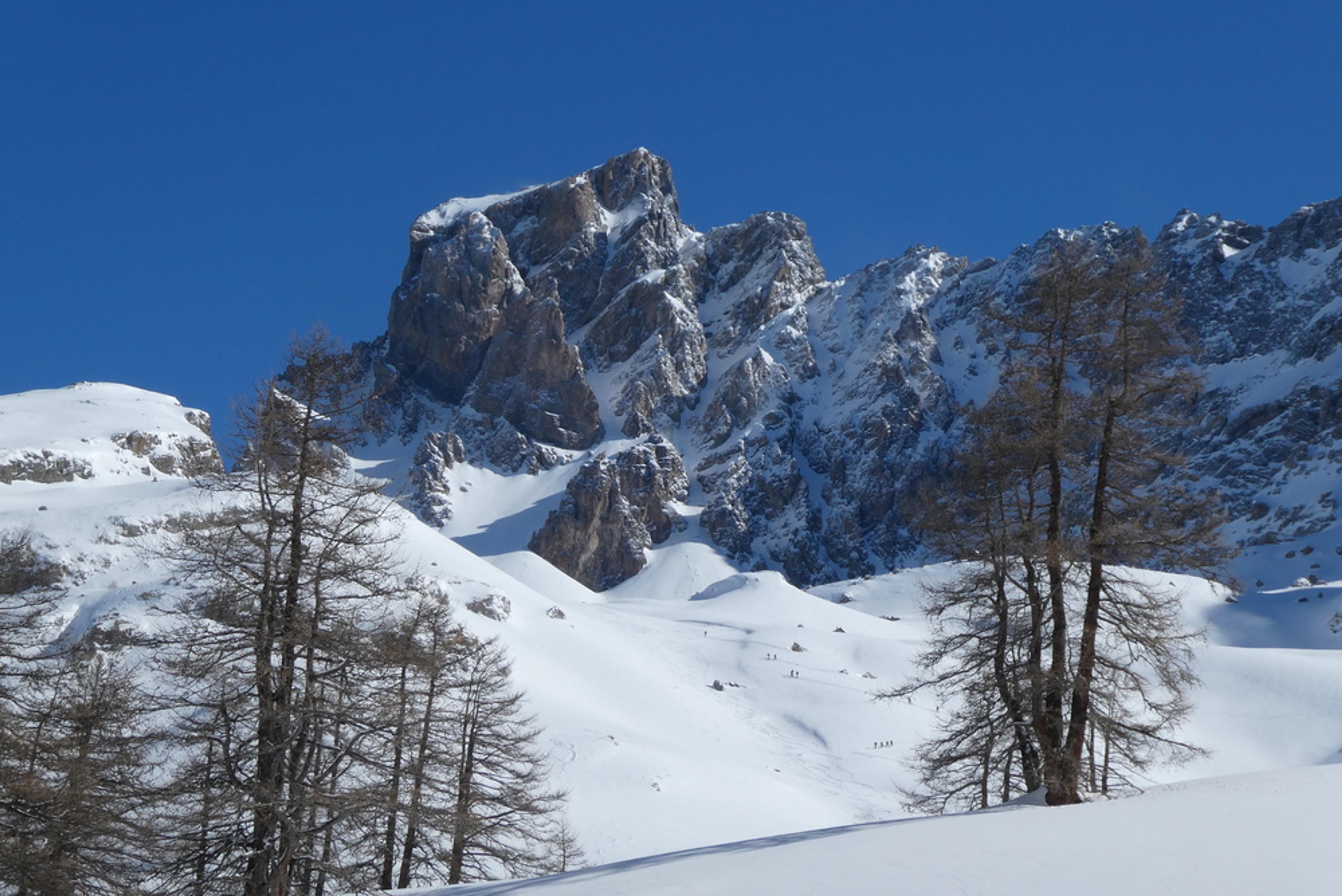 Image galerie