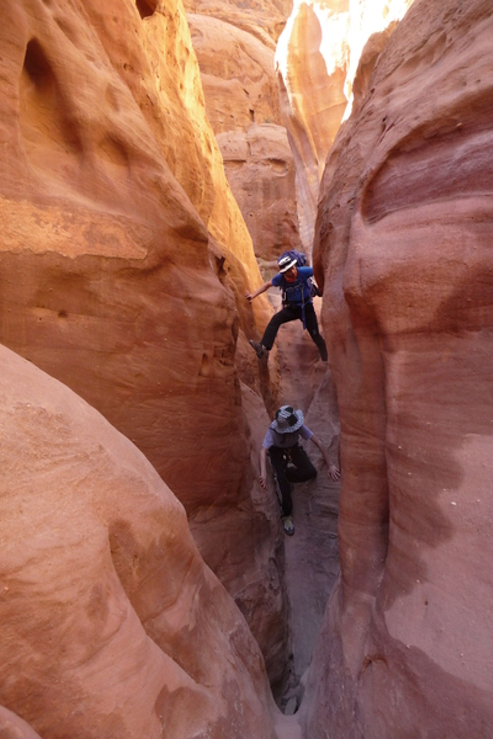 Ils sont fous ces ibex! — photo 4