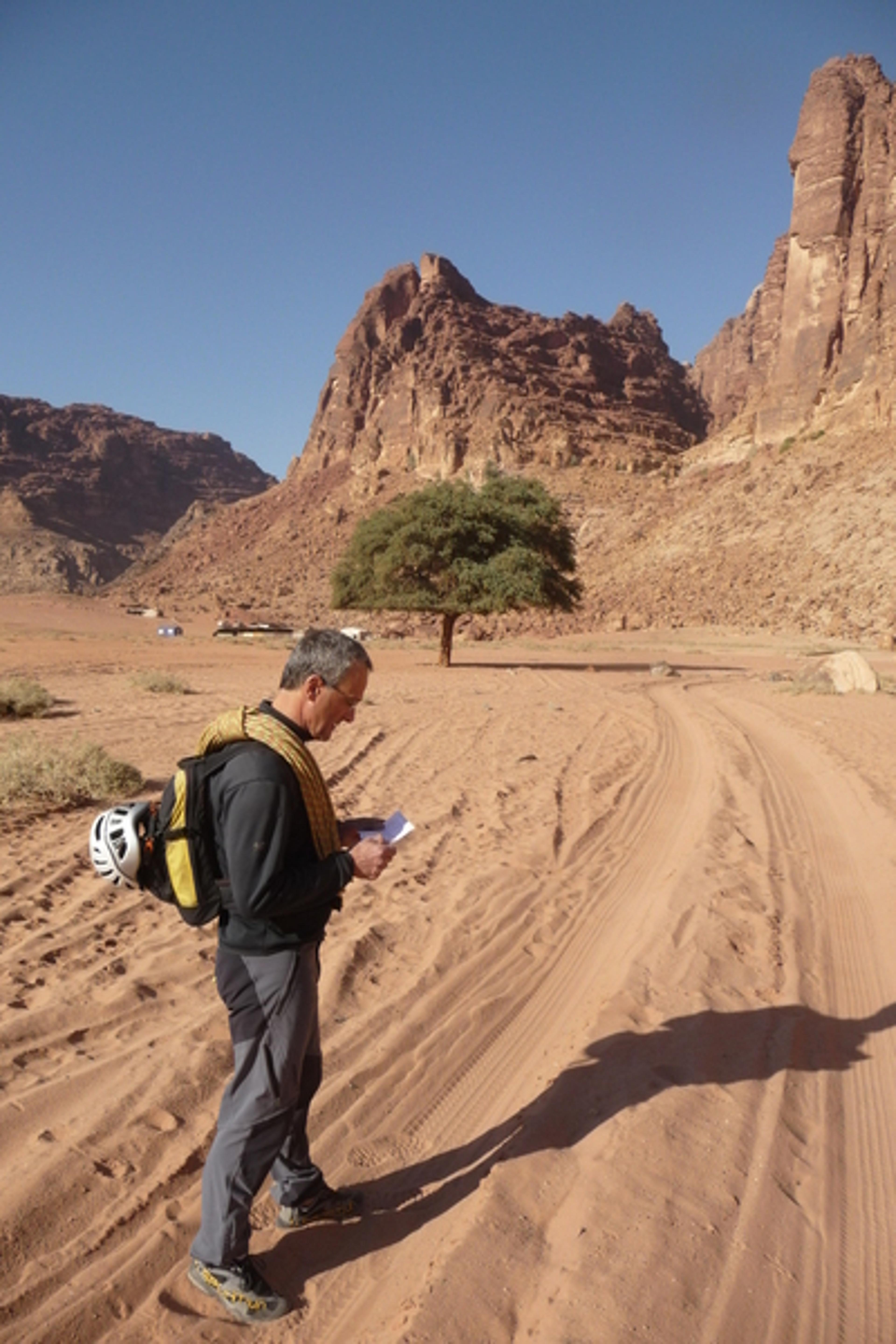 Wadi Rum - L'arbre de la vallée