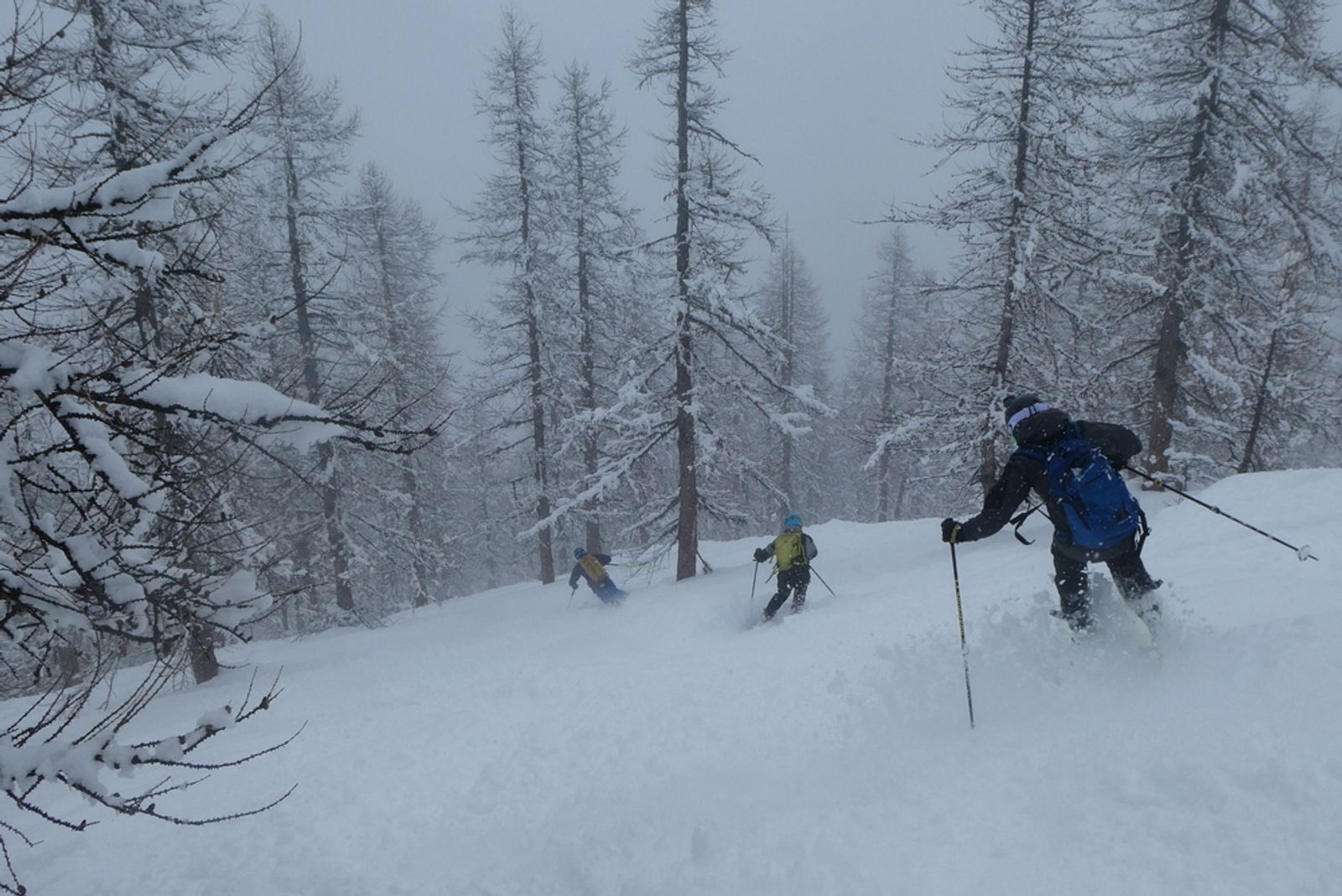 Puy-Saint-Vincent - Hors piste - Mélézin pas vilain