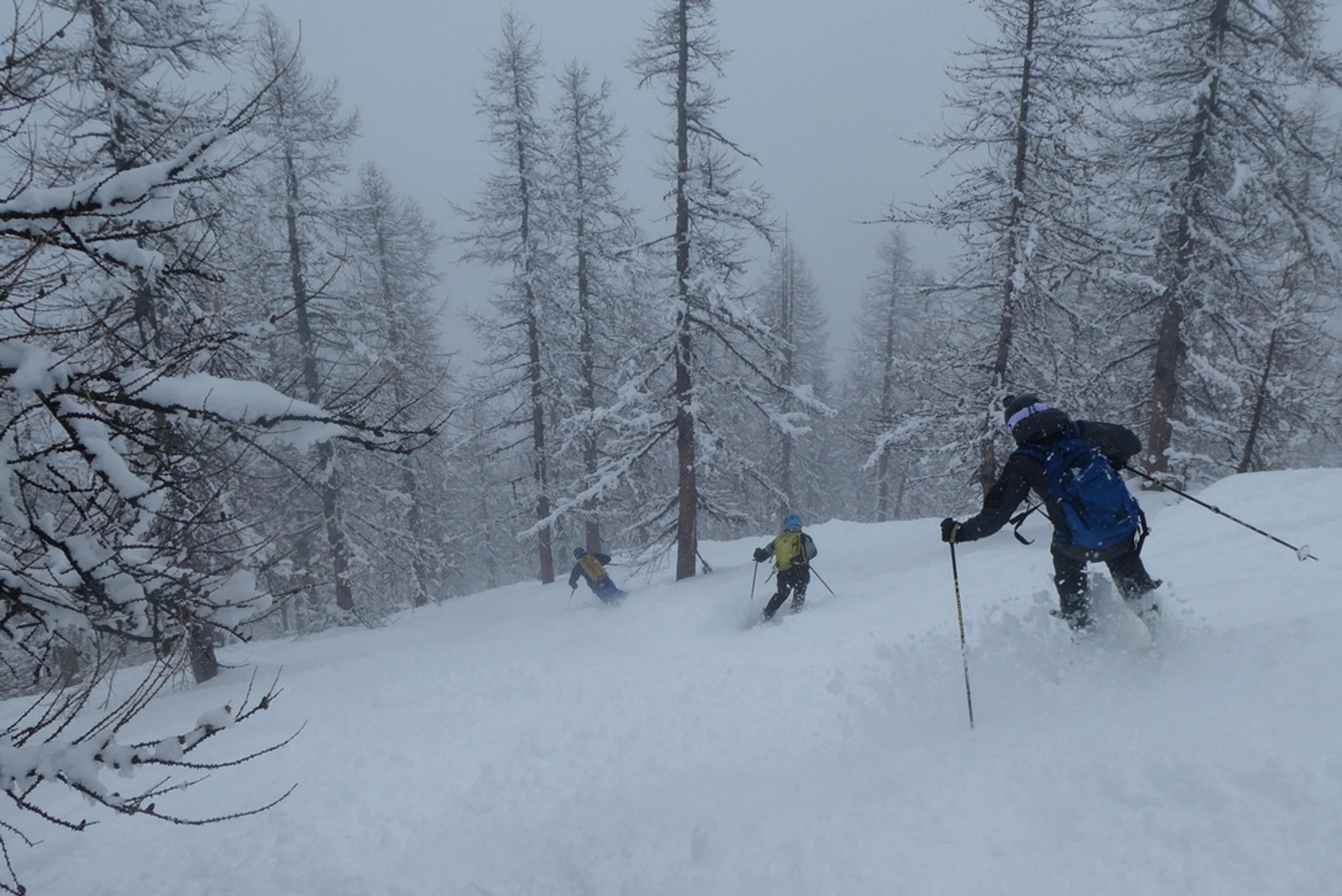 Puy-Saint-Vincent - Hors piste - Mélézin pas vilain