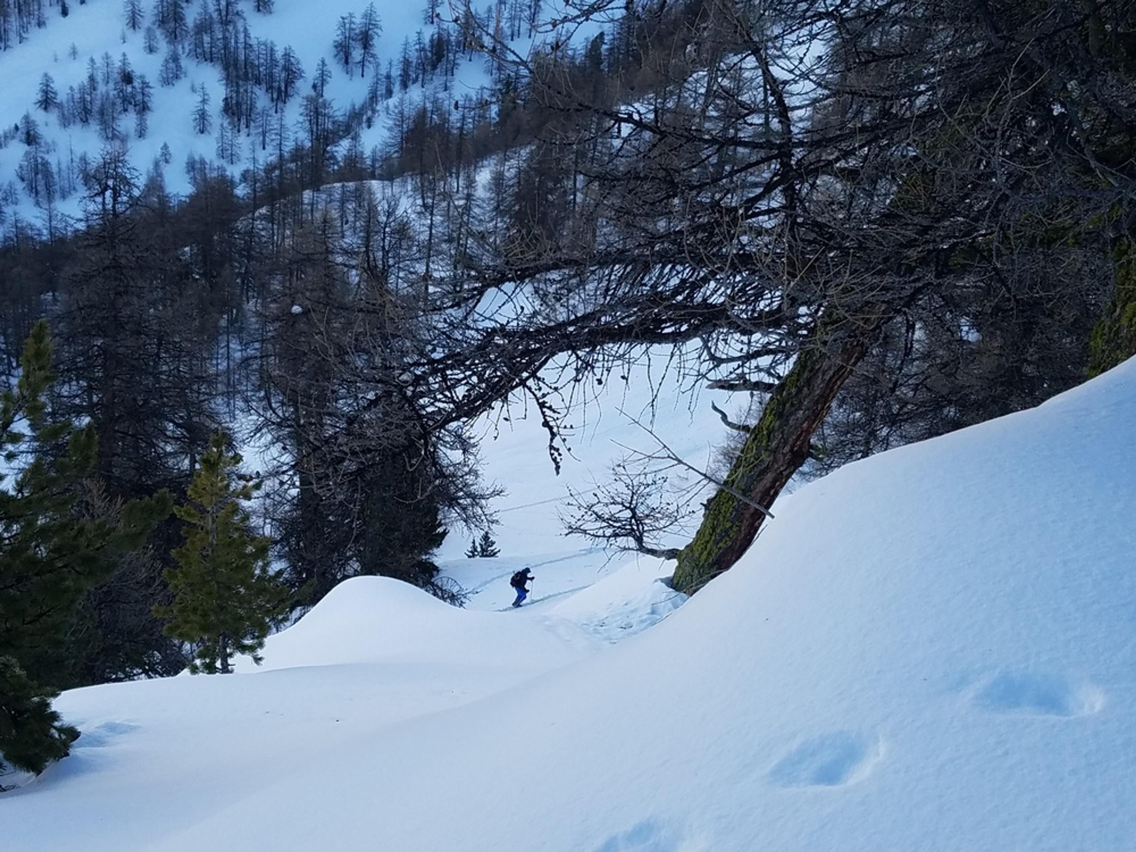 Raid ski – Tête de Miéjour