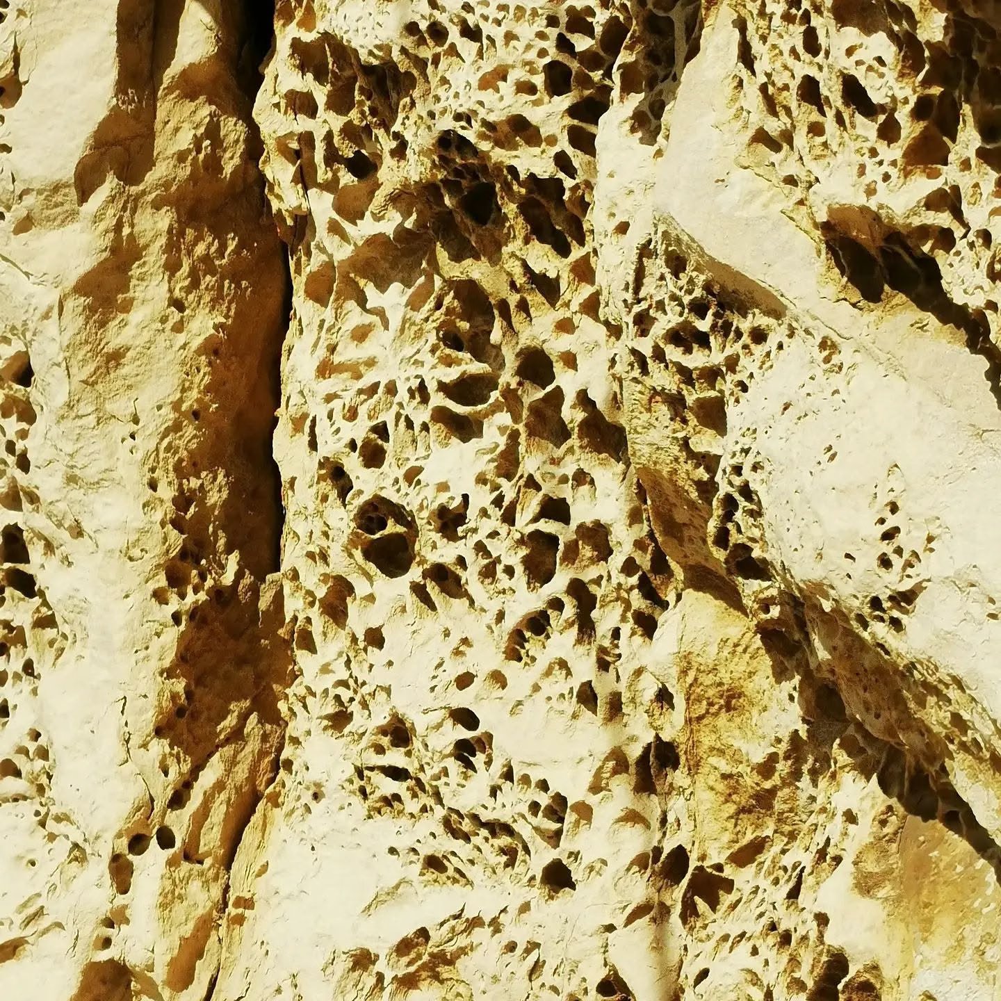 Détail d’un rocher aux nombreuses alvéoles au Cap Canaille