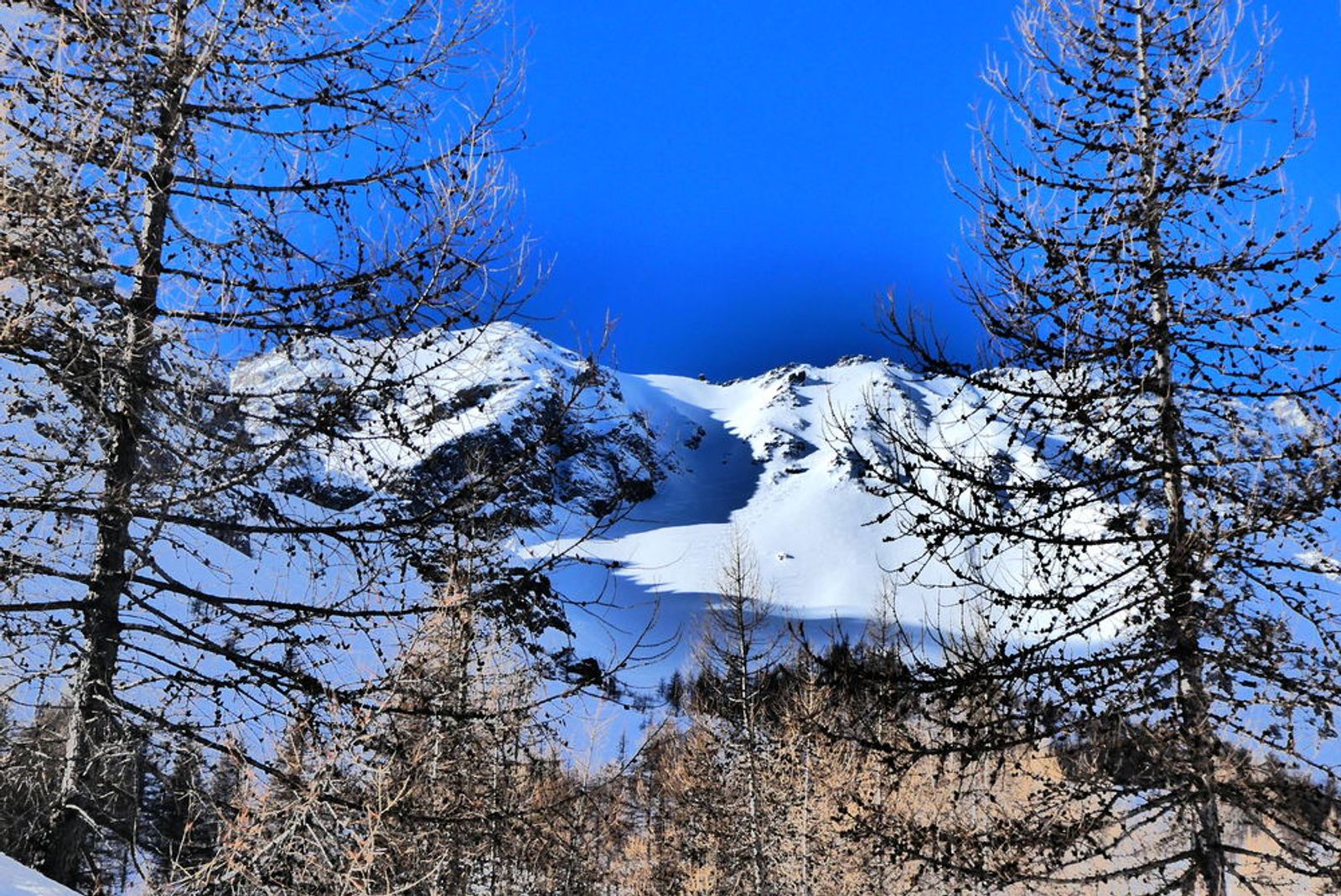 Etendard Combeynot - Couloir nord - Appétissant