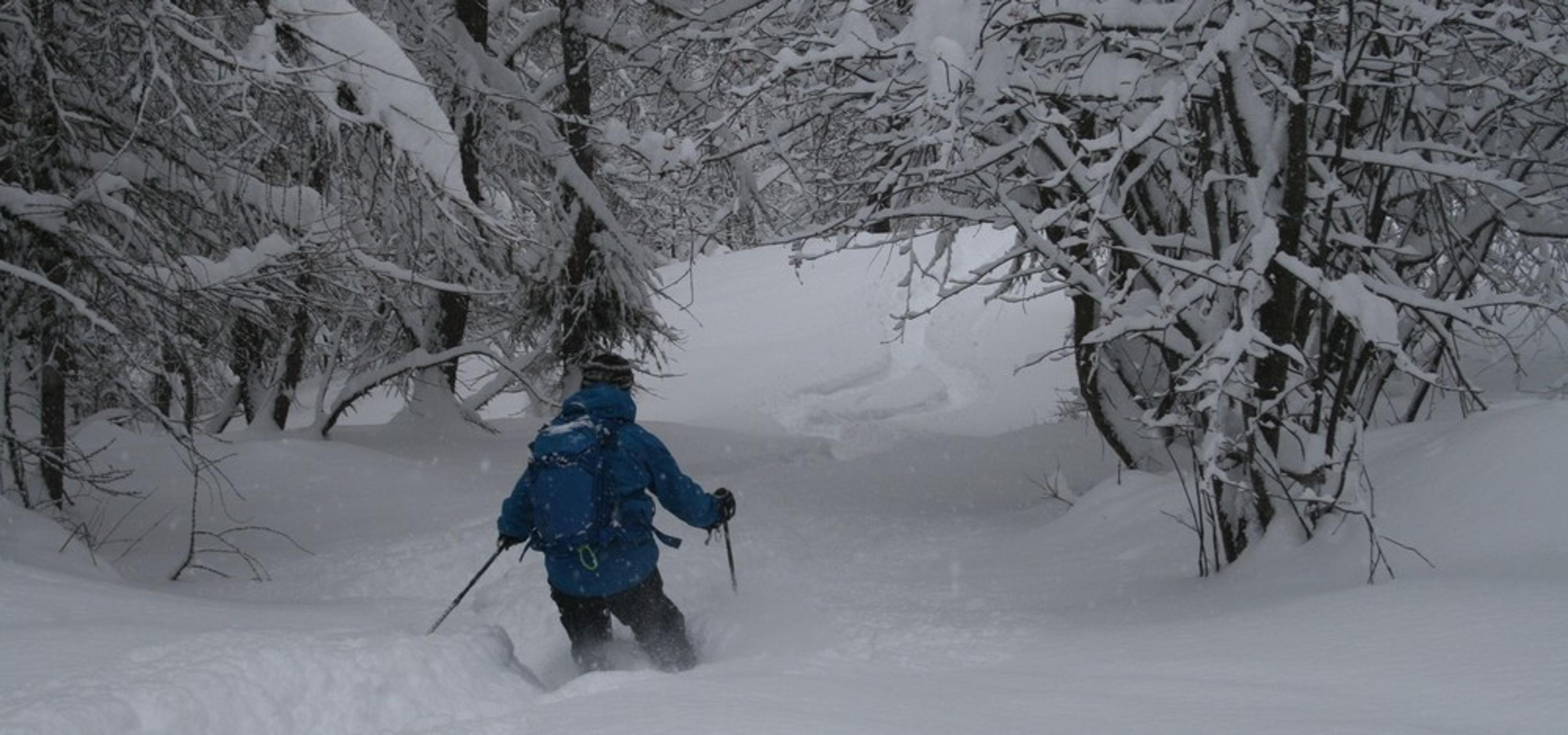 Hors-piste Puy-St-Vincent - Faufilage dans les mélèzes