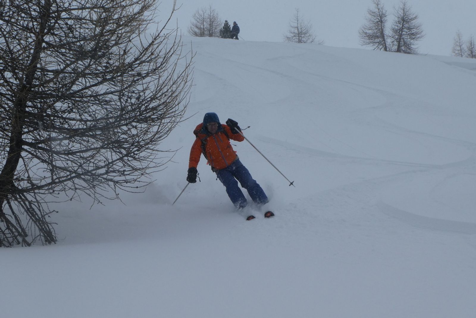 Ski randonnée Ubaye Fouillouse - La Sauvagea - Dans les bois du bas