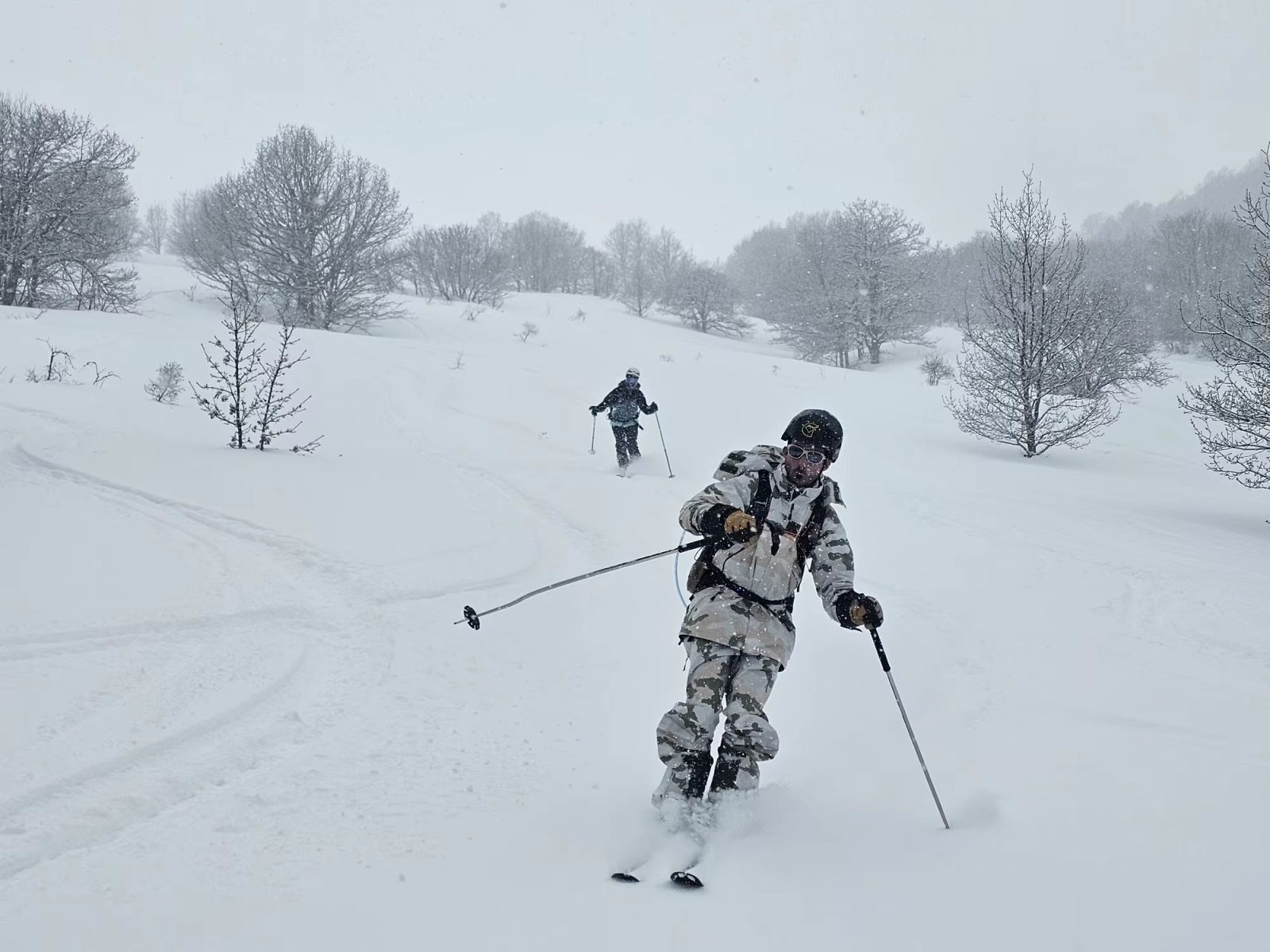 Groupe de skieurs évoluant dans la poudreuse entre les arbres en Arménie