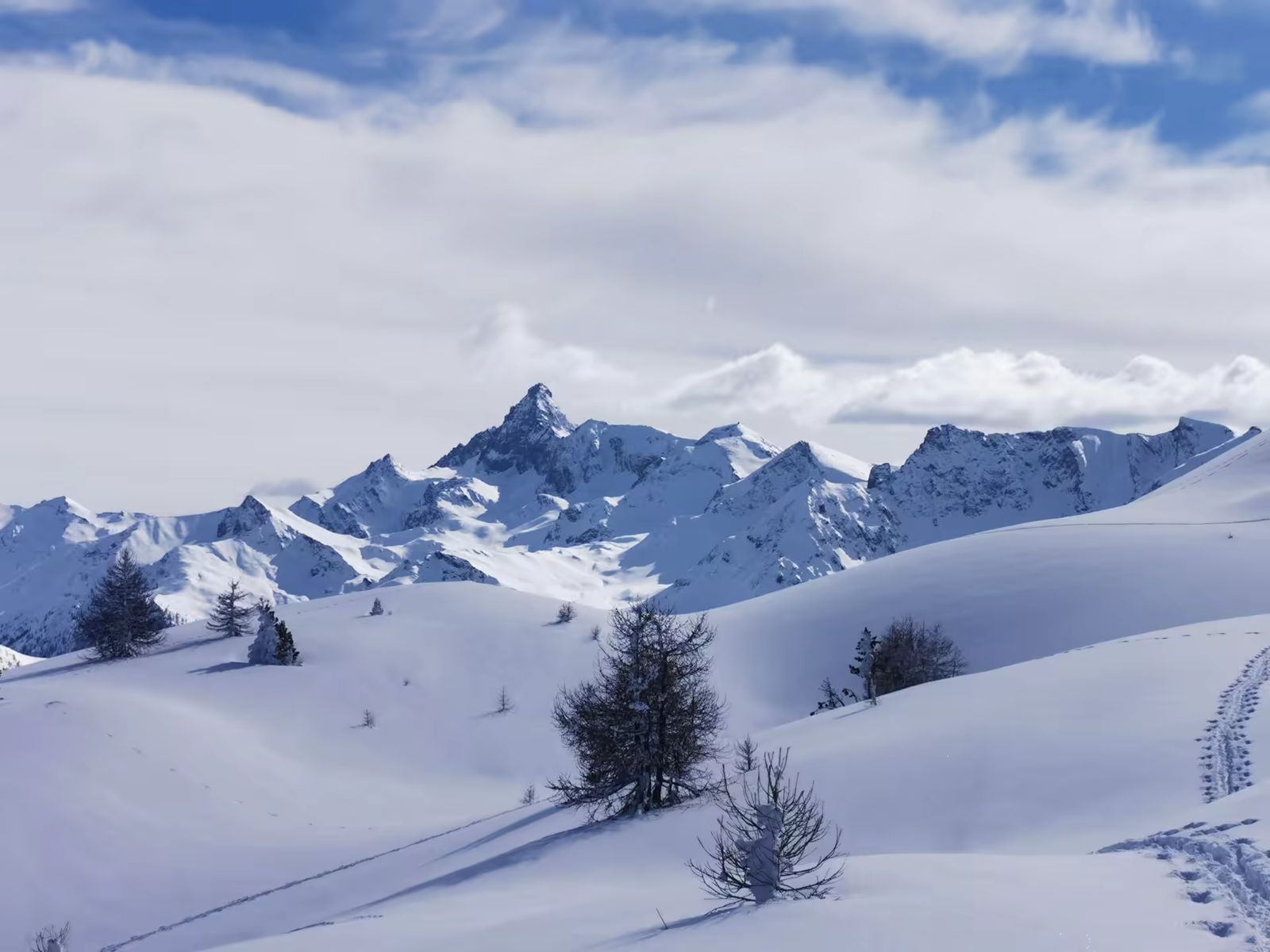 Paysage de montagnes enneigées (Pic Rochebrune) observé pendant une sortie freerando à Montgenèvre