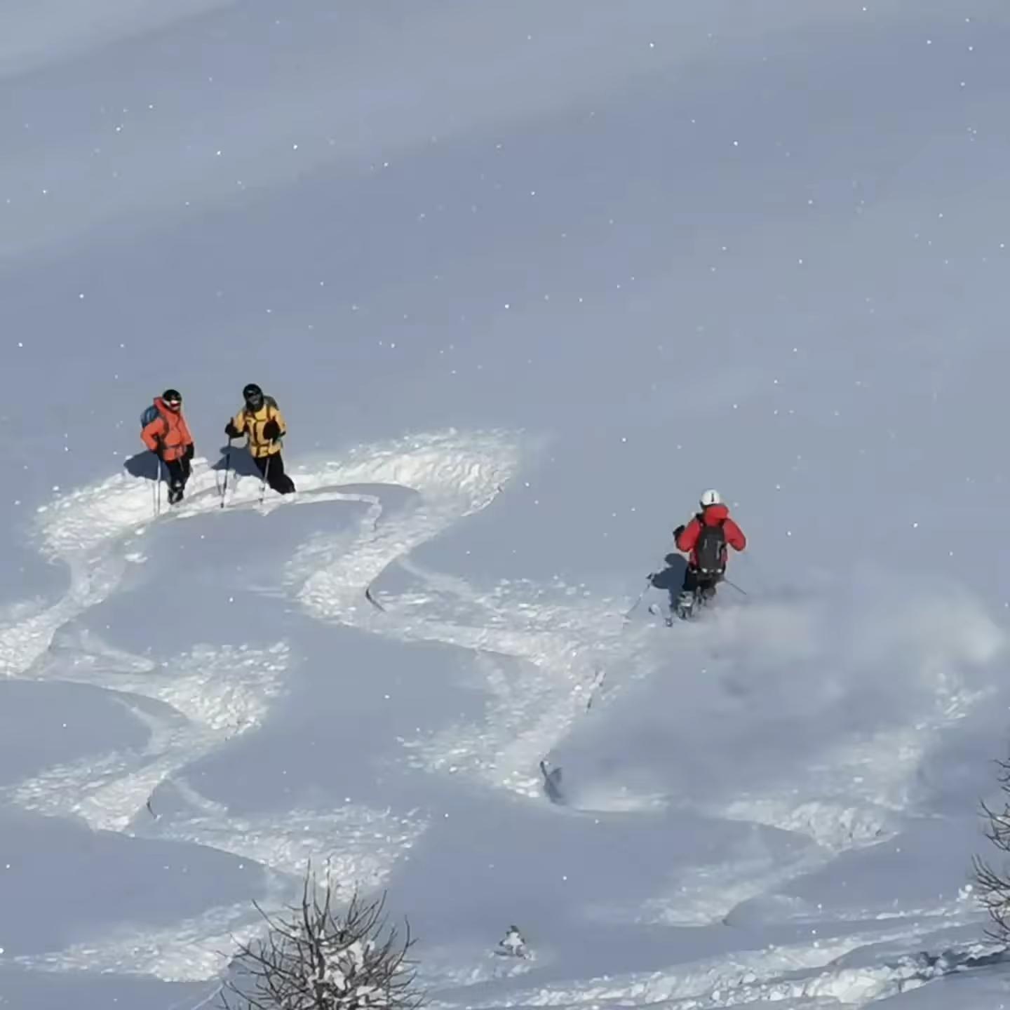Journée Freerando Hautes-Alpes