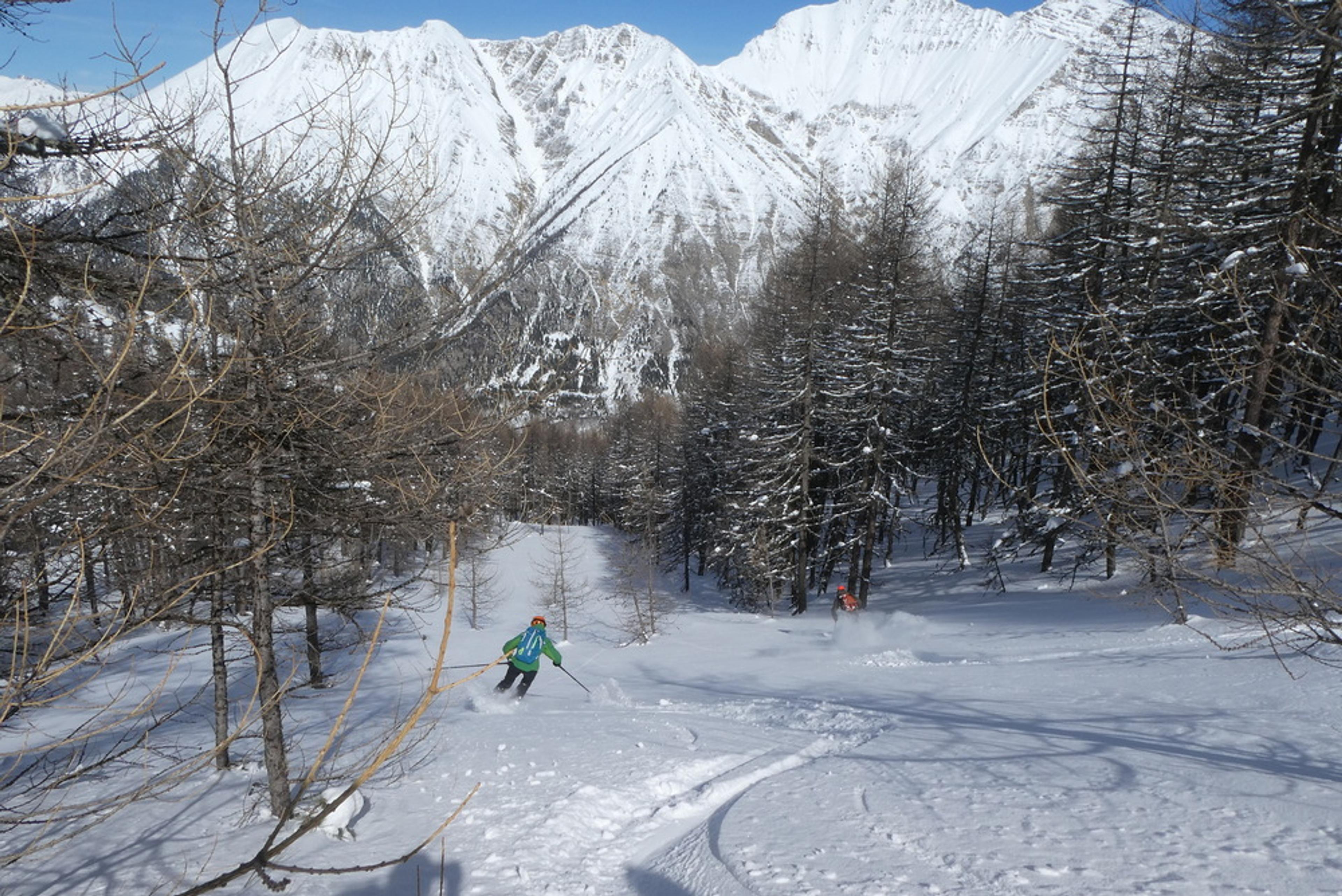Free-rando-Crévoux - Rayage de forêt en équipe