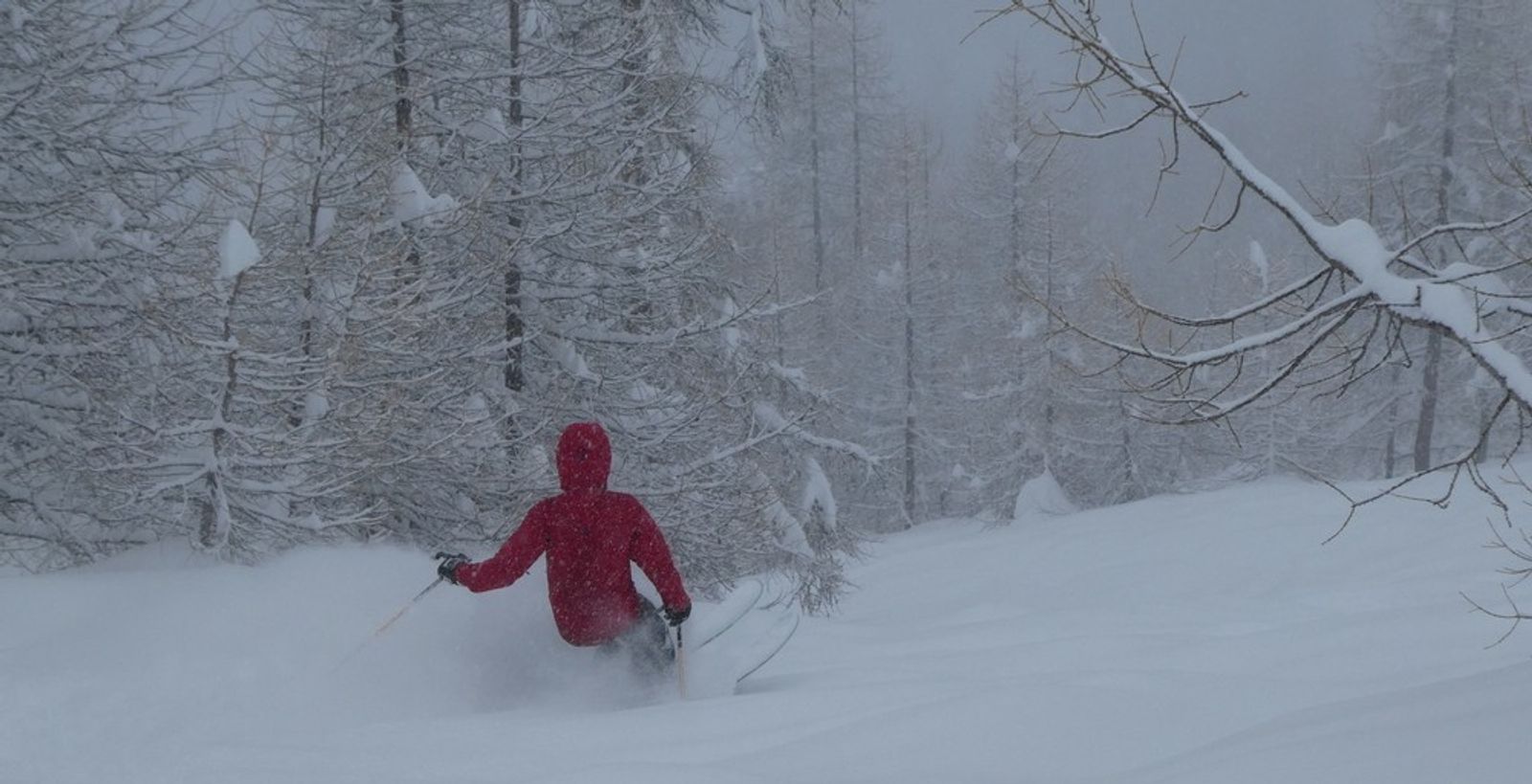 A skier lifting the tips of his skis out of the powder in deep snow
