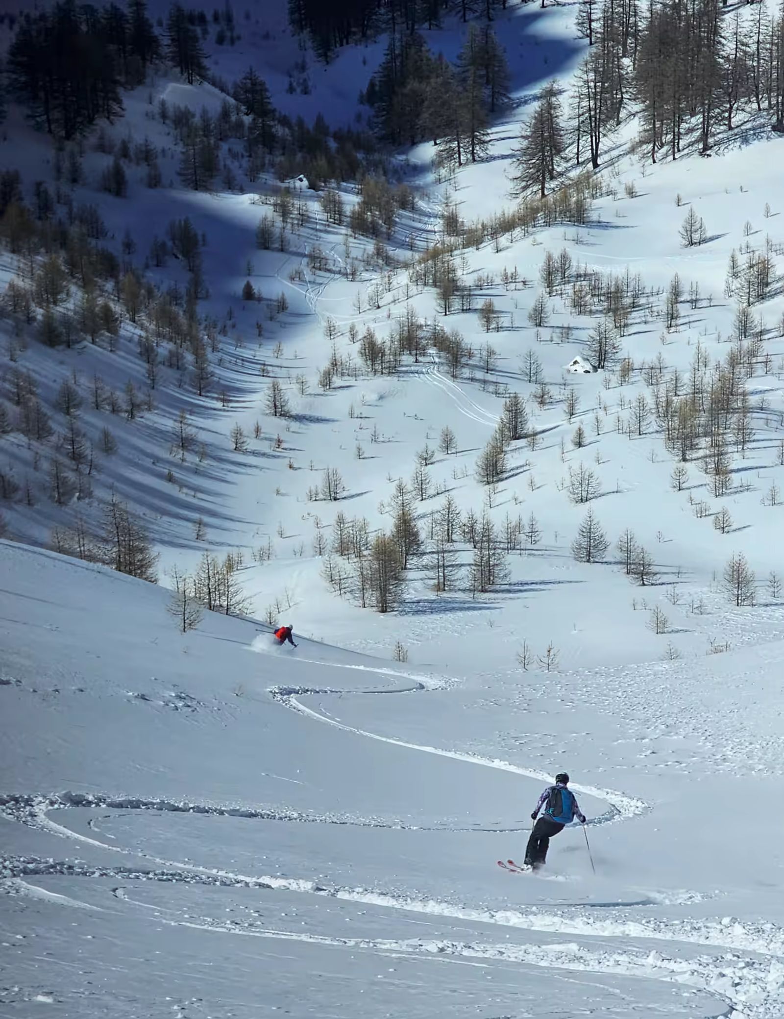 traces poudreuse dans la vallée de Fouillouse