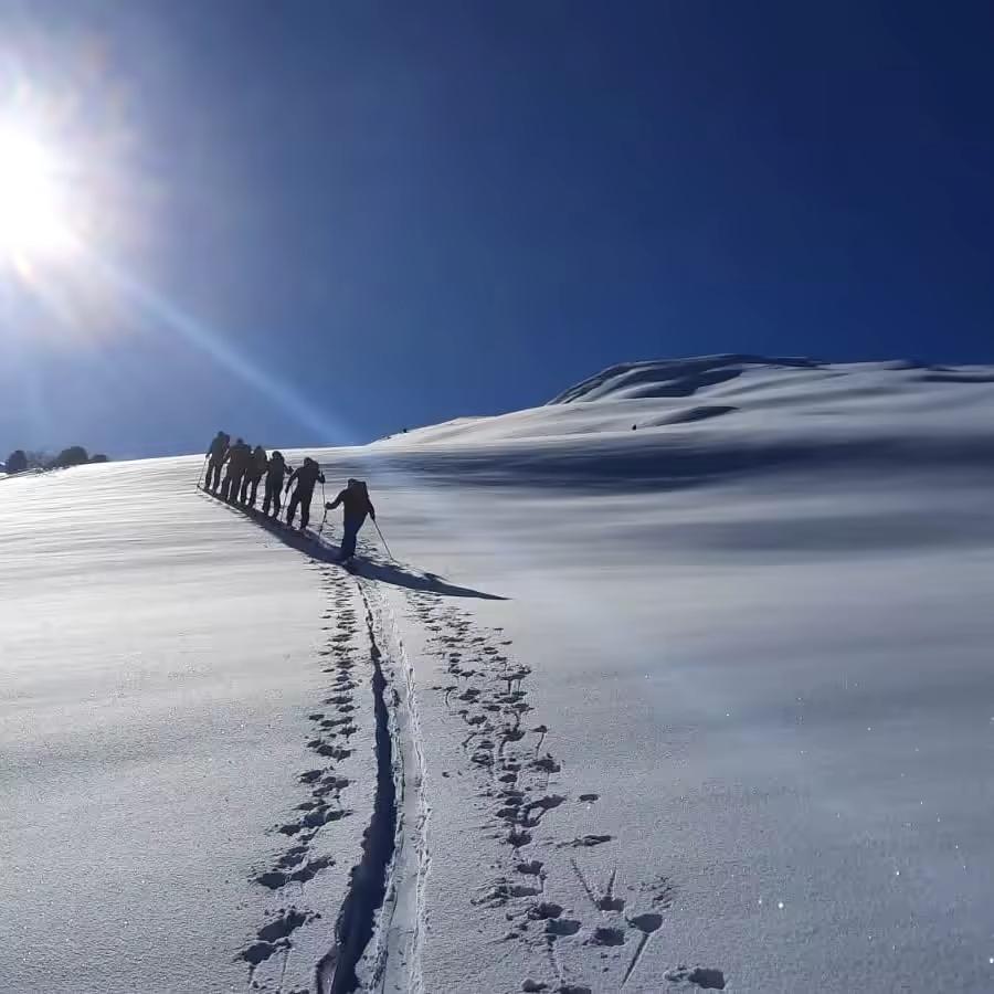 Journée Freerando Hautes-Alpes
