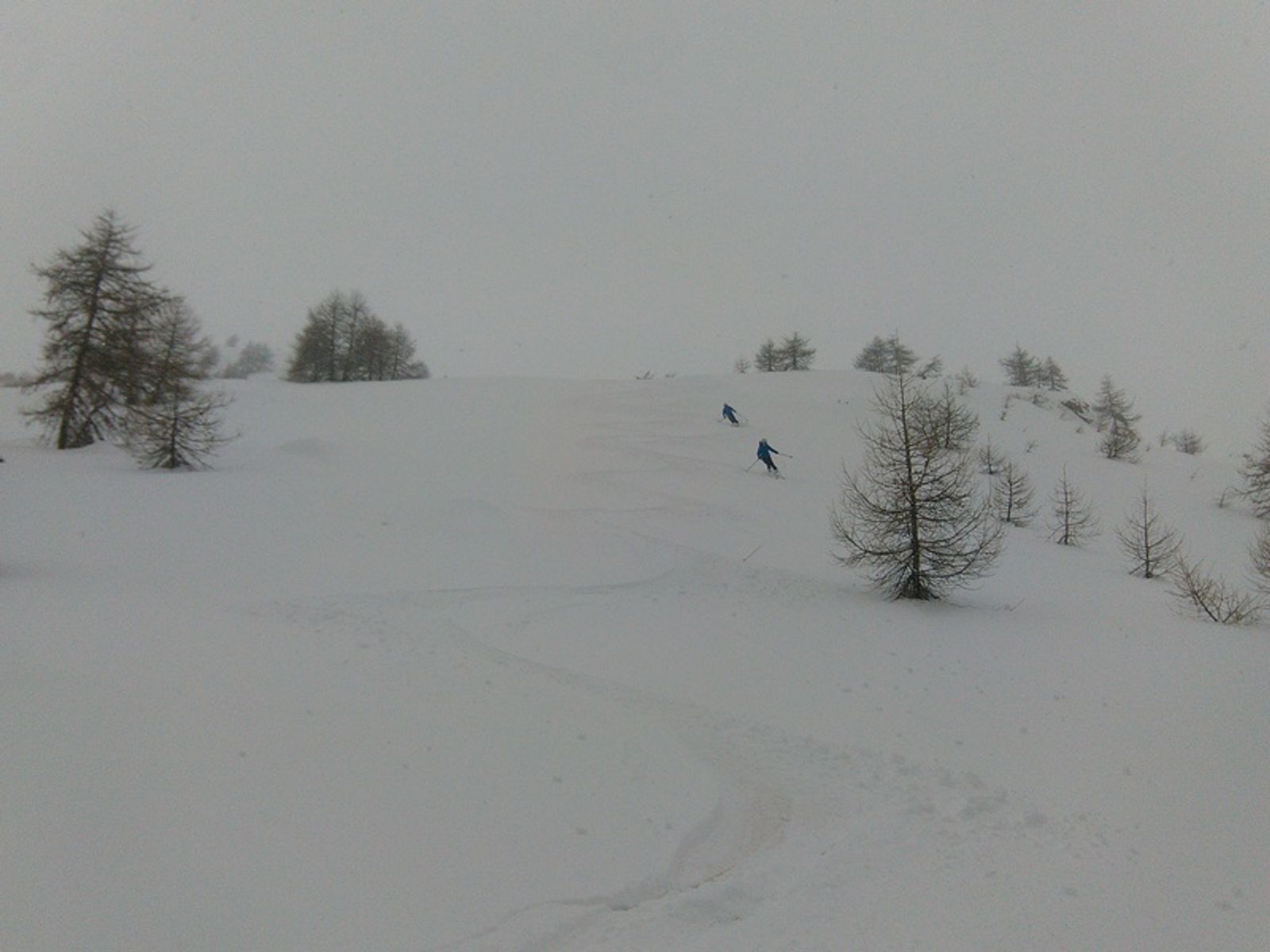 Tete des raisins - Between spaced trees, perfect place to ski