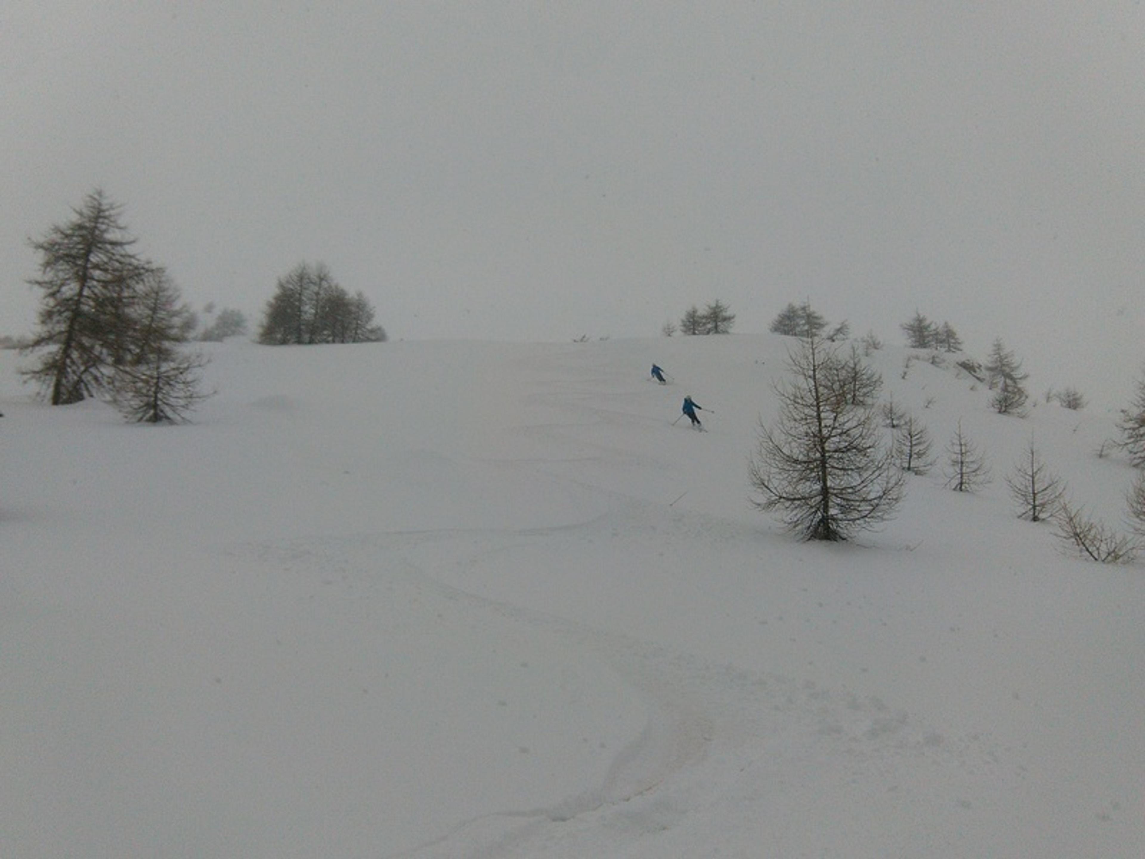 Tete des raisins - Between spaced trees, perfect place to ski