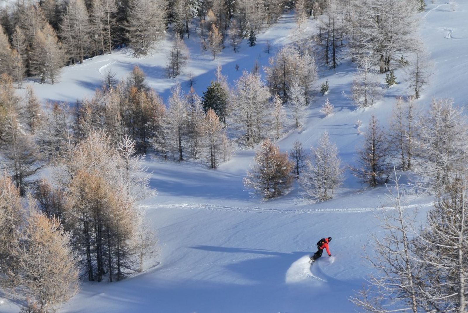 On sort pas du bois! — photo 4