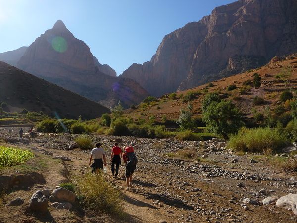 Taghia - Canyon apache