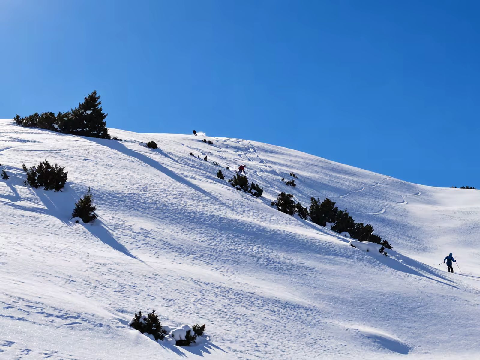 3 skieurs dans la poudreuse au dessus de Jyrgalan au Kirghizistan