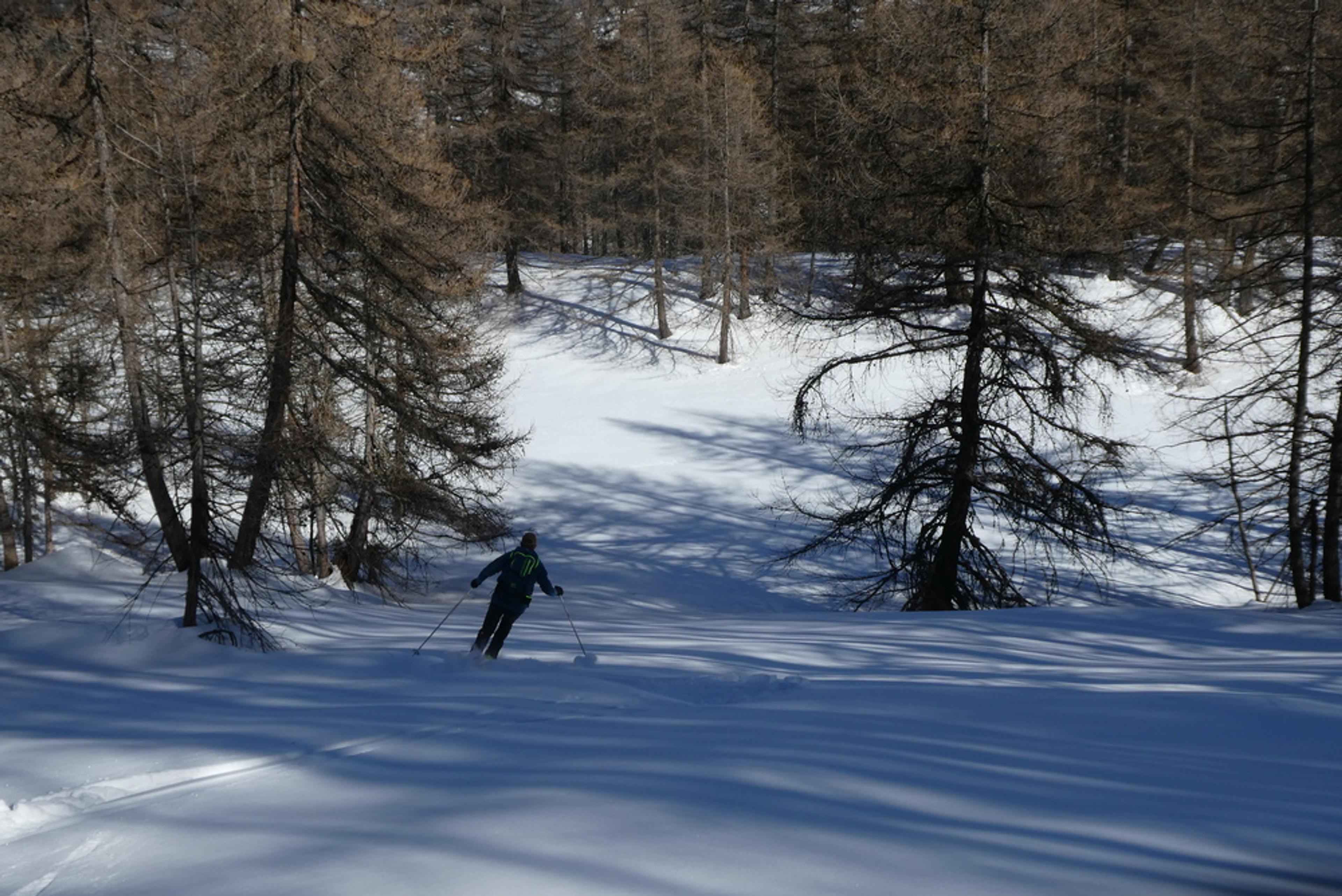 Découverte ski de randonnée - Tête des Aluzières - Poudre dans les bois