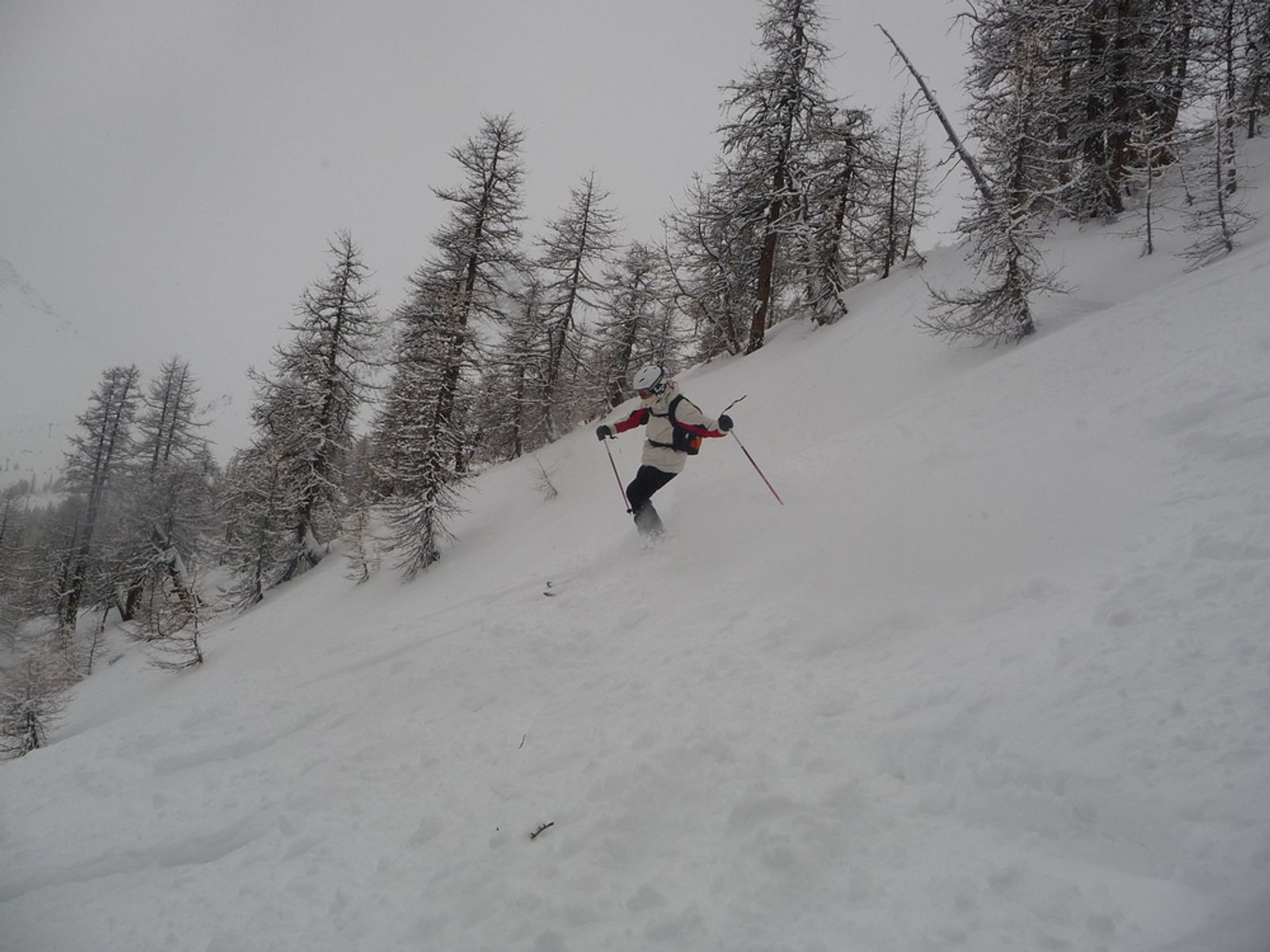 Serre Chevalier - En forêt c'est même carrément pas mauvais!