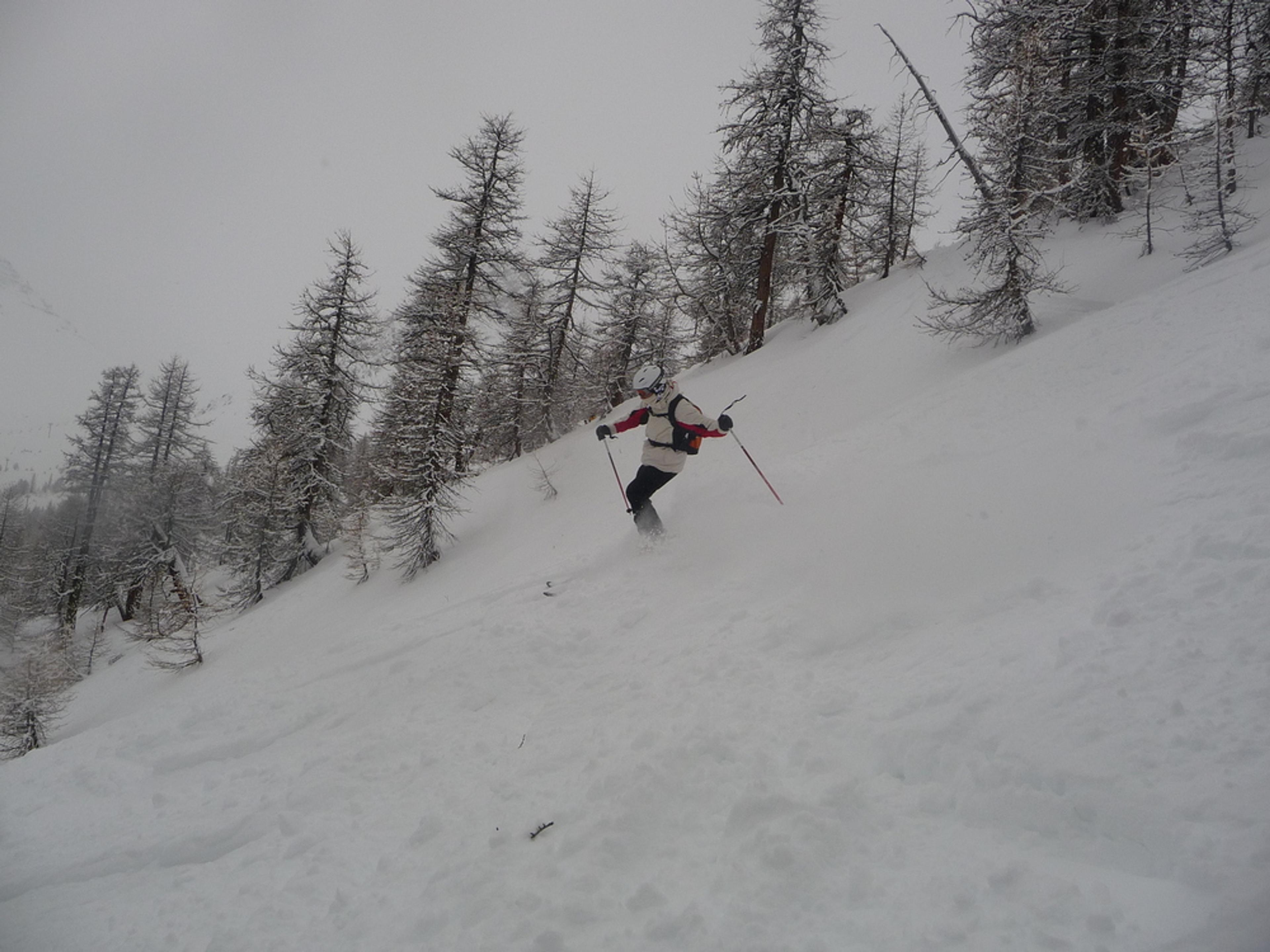 Serre Chevalier - En forêt c'est même carrément pas mauvais!
