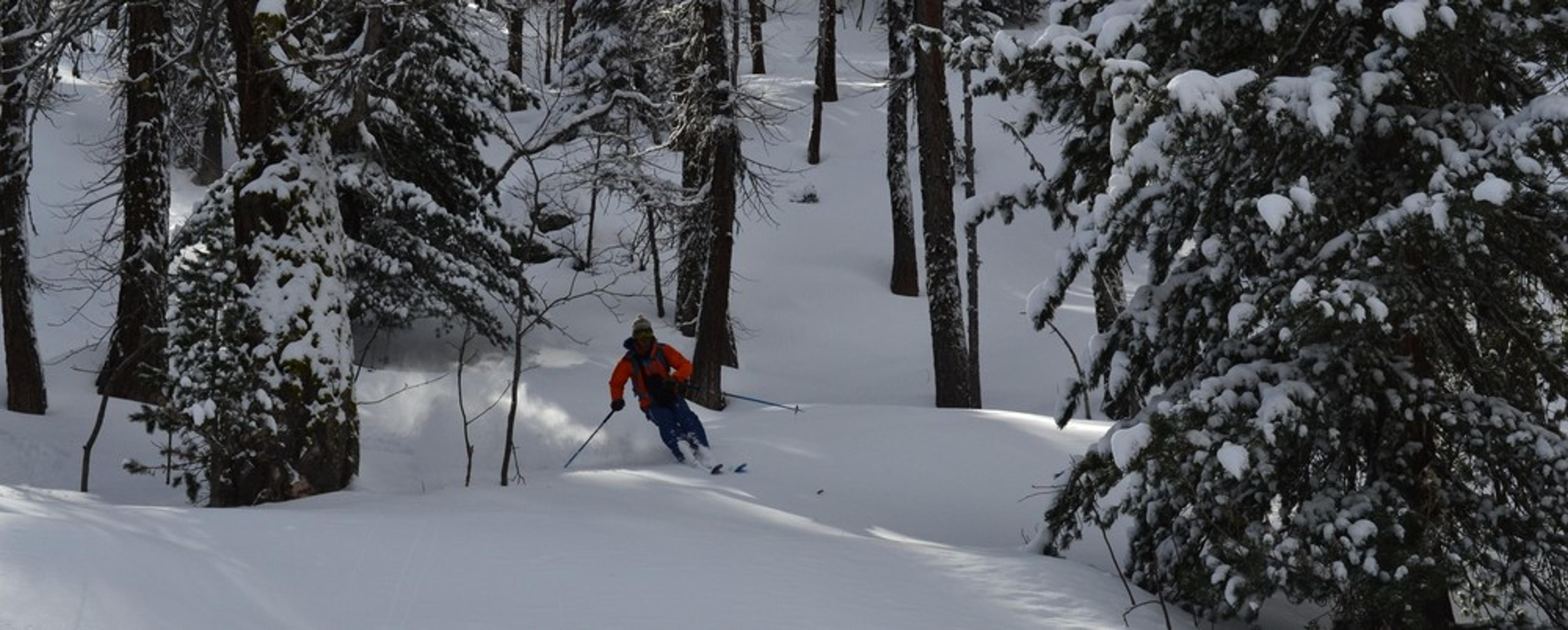 Ski de rando - Crête de la Seyte - Dans les bois