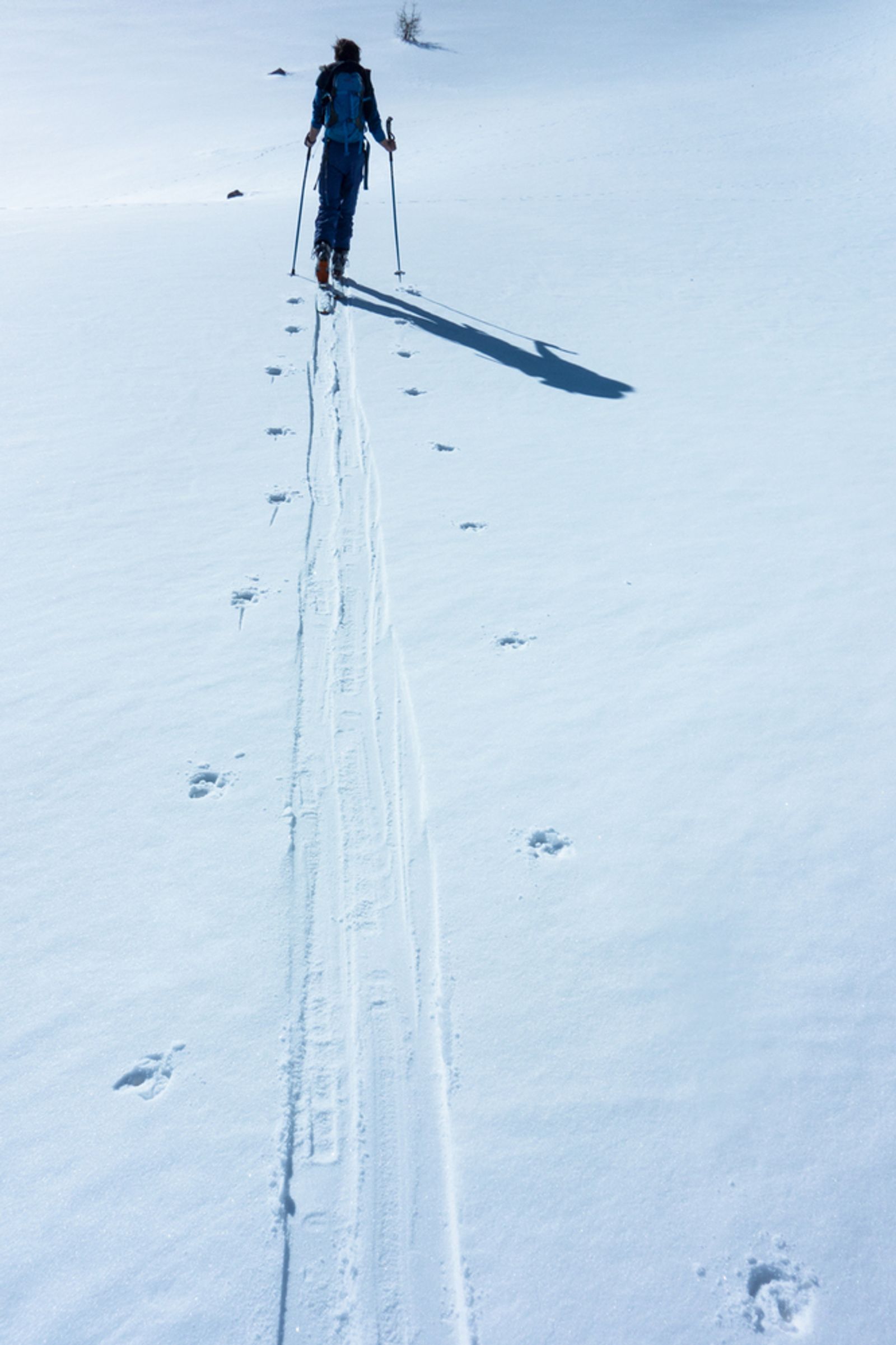 Skieur suivant une trace de montée régulière dans la neige au soleil.