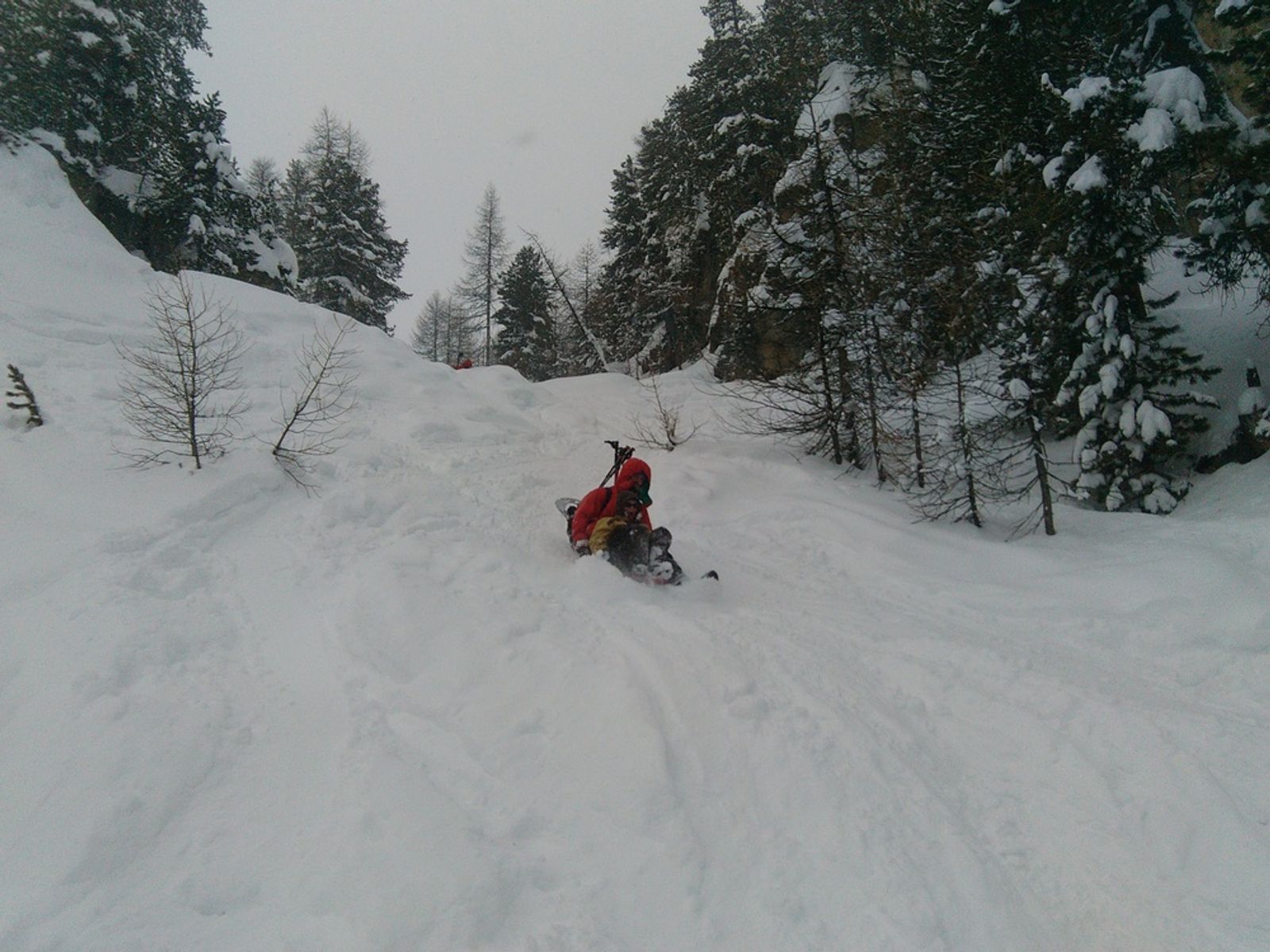 Descente en luge