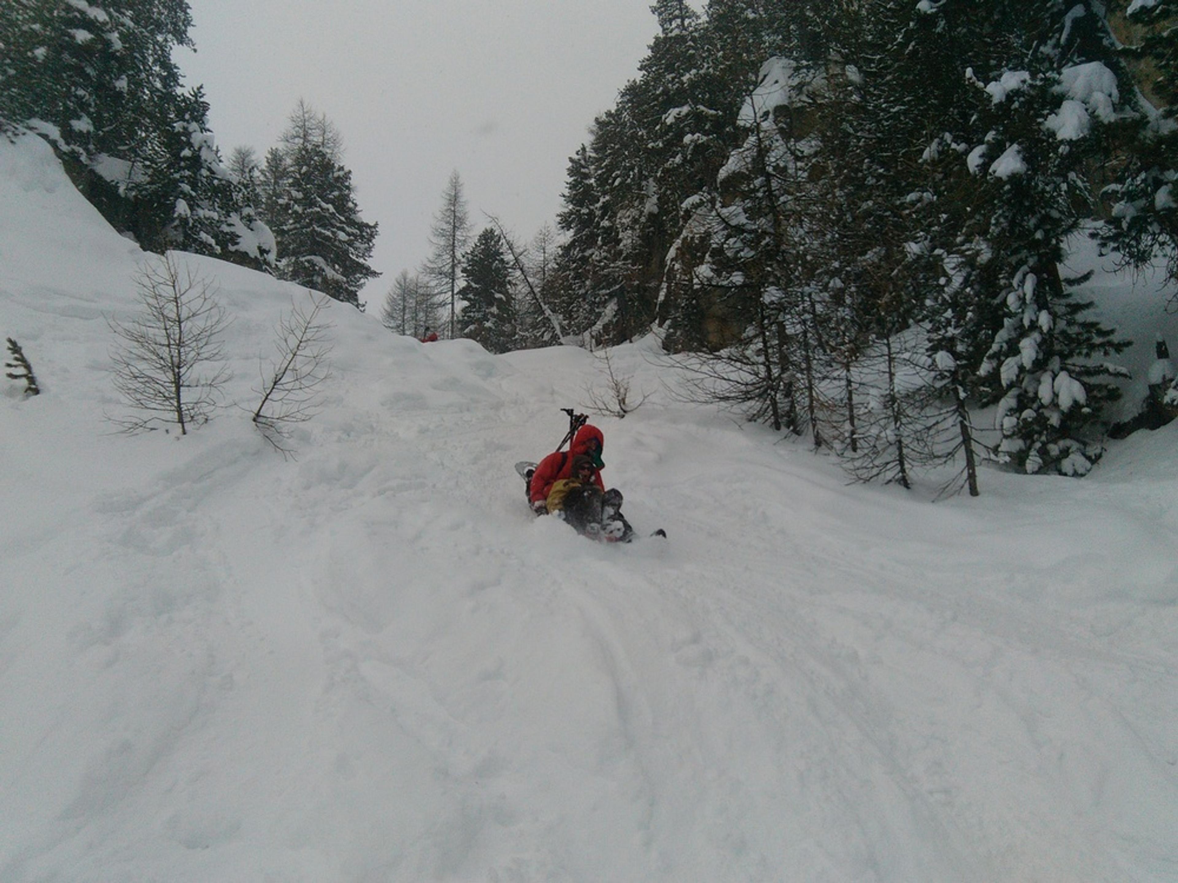 Descente en luge