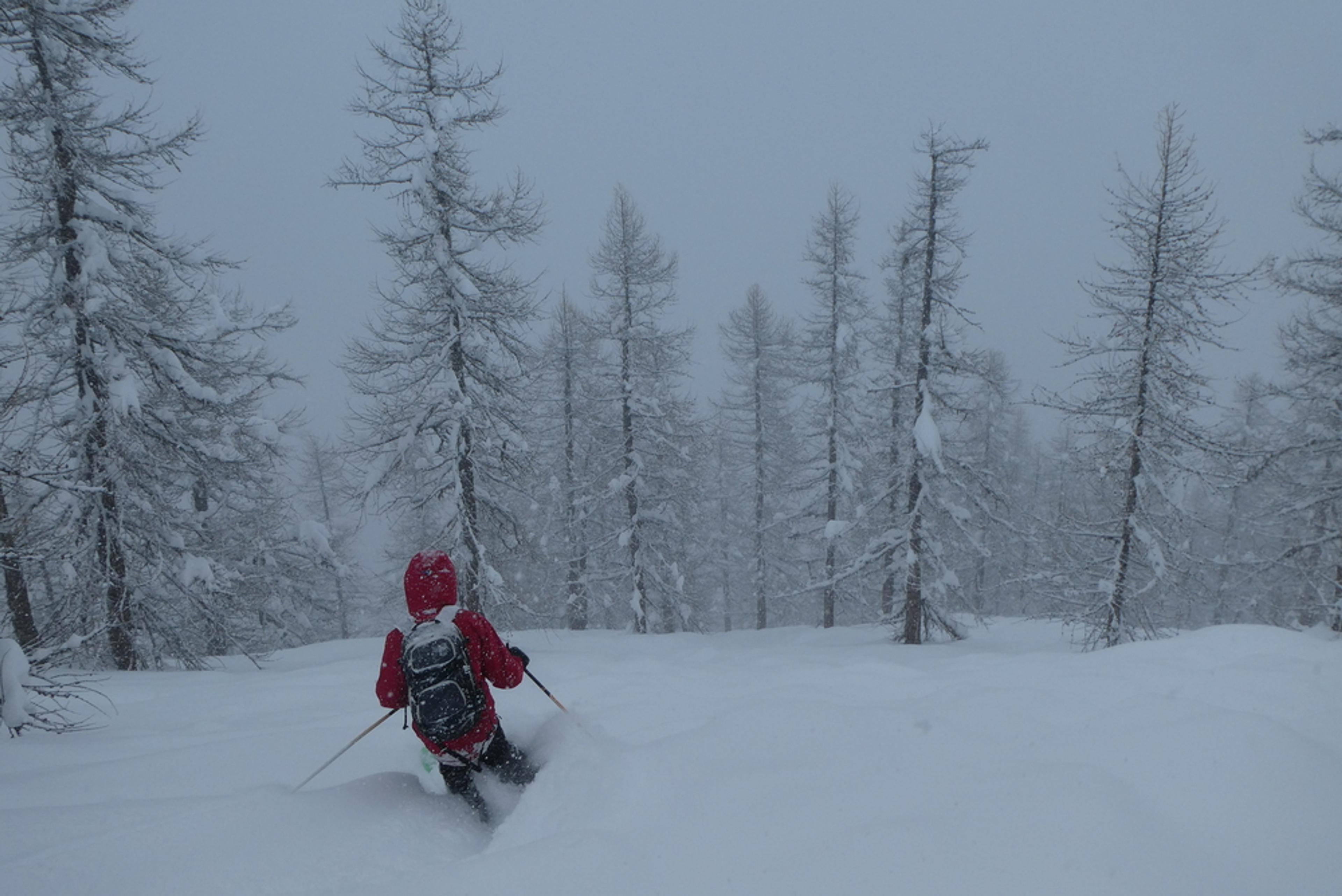 Hors piste Puy Saint Vincent - Bois des Coqs