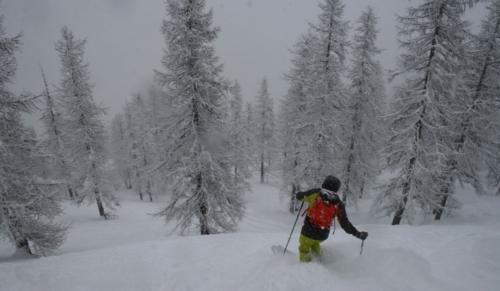 Skieur en pantalon jaune traçant un virage entre les mélèzes enneigés à Puy-Saint-Vincent.