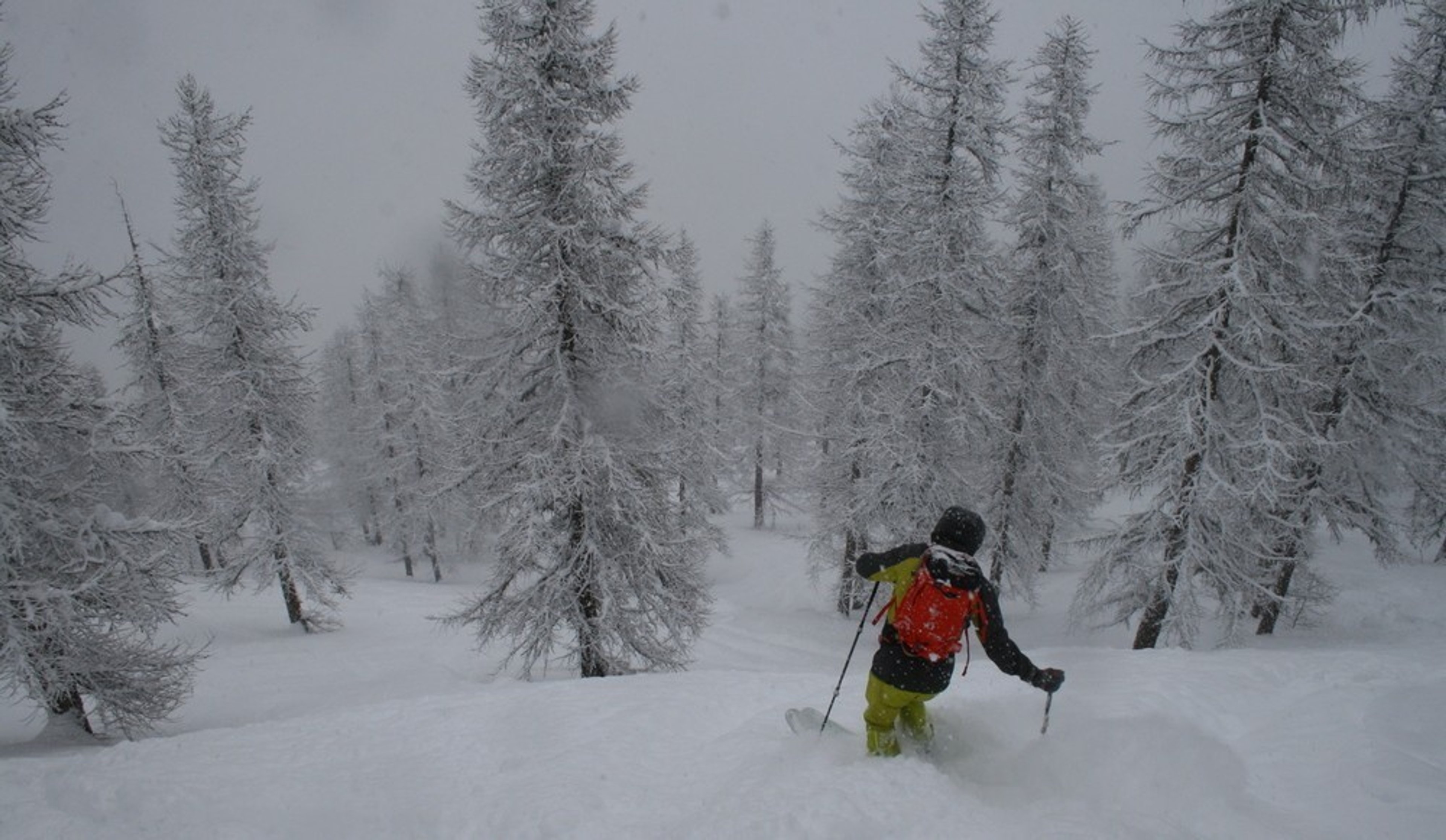 Hors piste à Puy-St-Vincent — photo 1