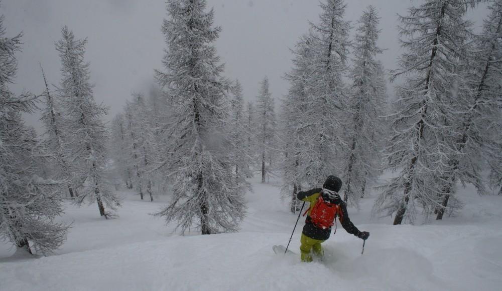 Hors piste à Puy-St-Vincent — photo 1