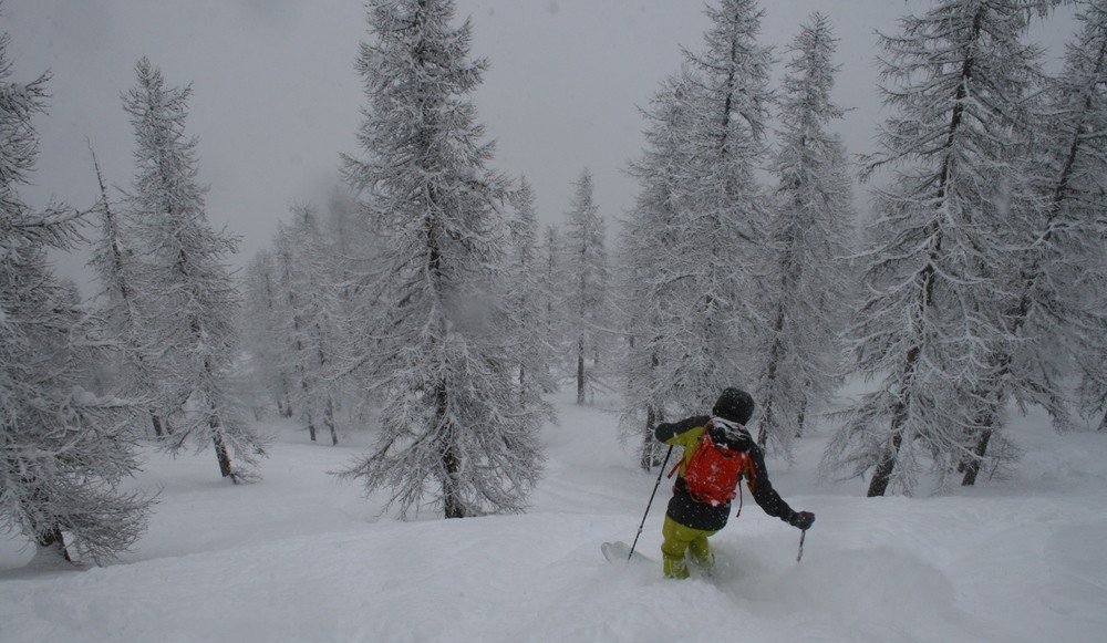 Hors piste à Puy-St-Vincent — photo 1