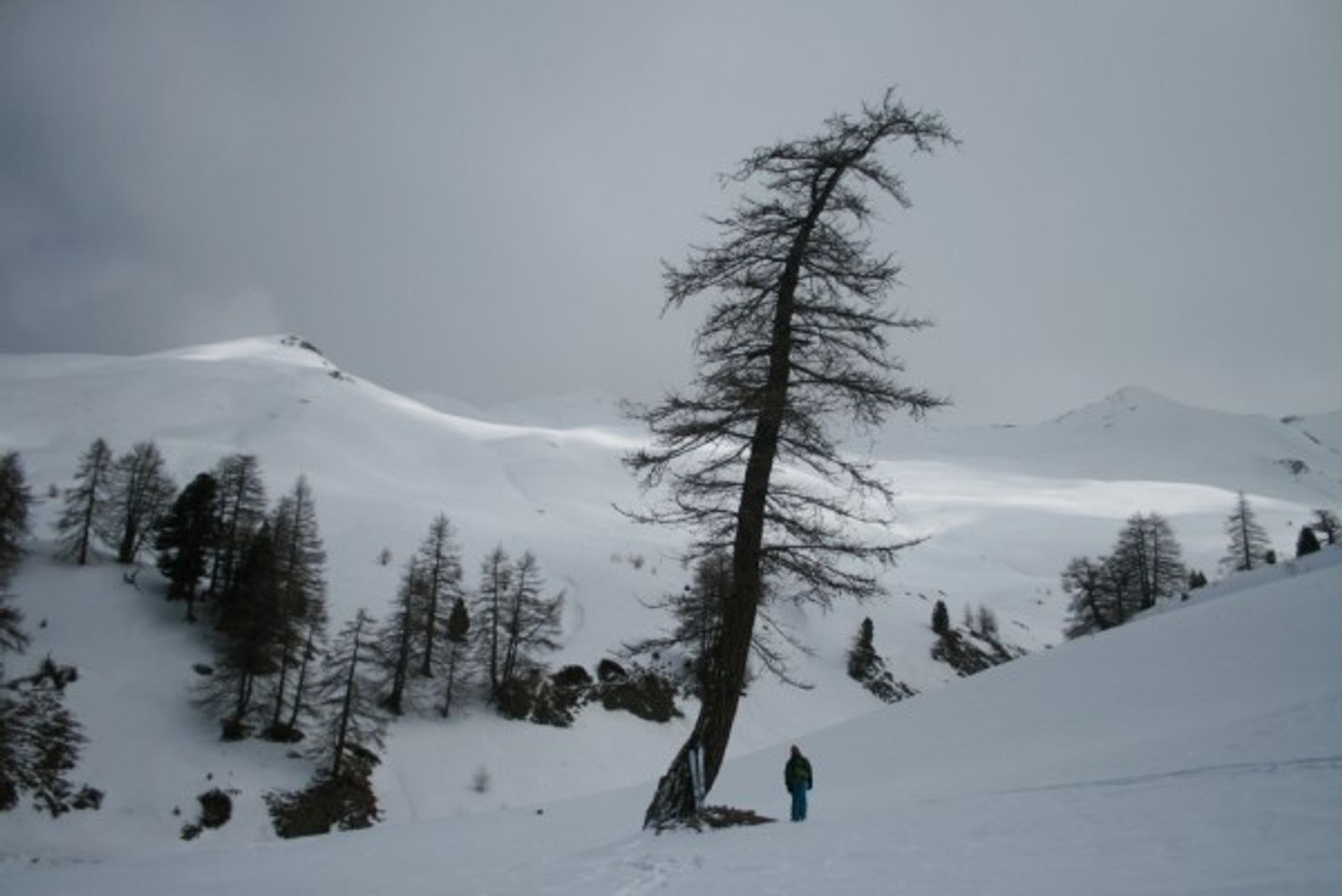 Face Nord de Peyre Nière — photo 2