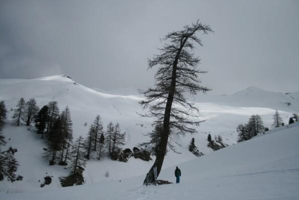 Face Nord de Peyre Nière — photo 2